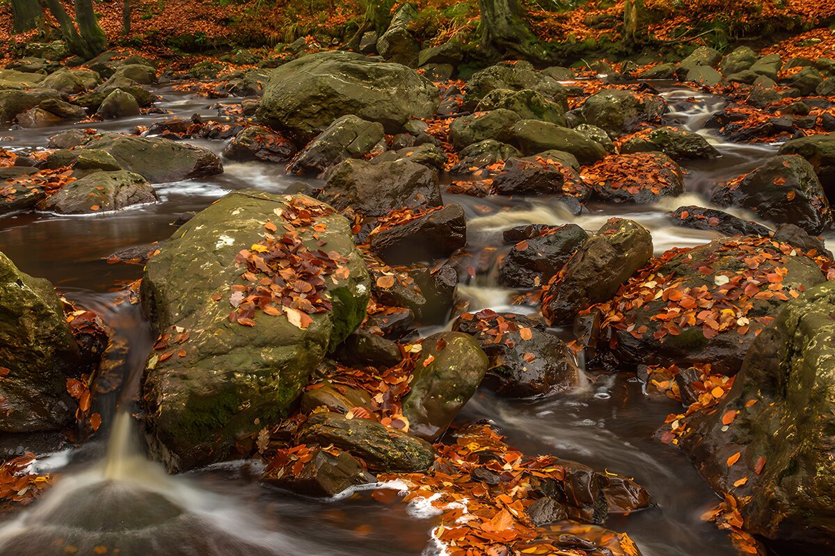 Herfststromen tussen de stenen
