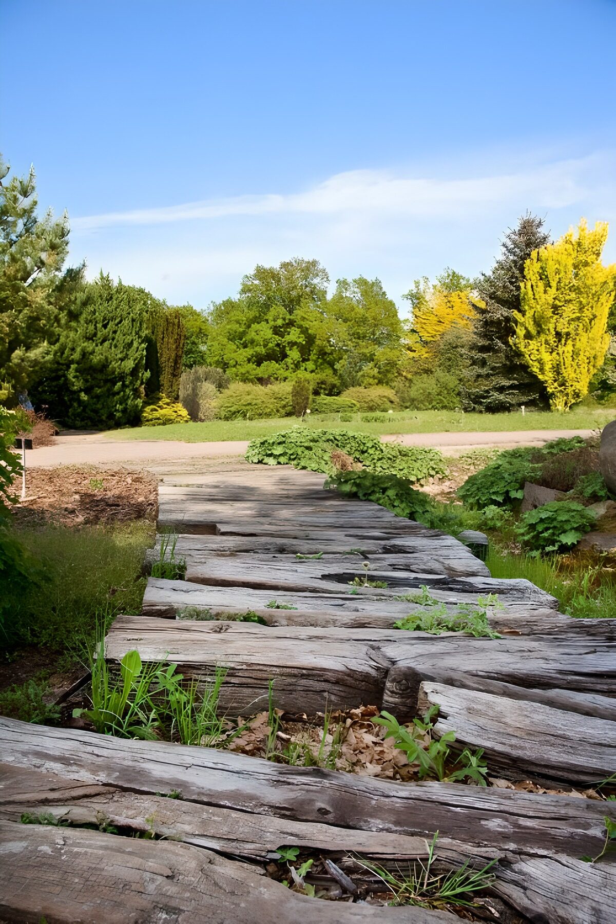 TP74298: Natuurlijke houten loopbrug in de tuin