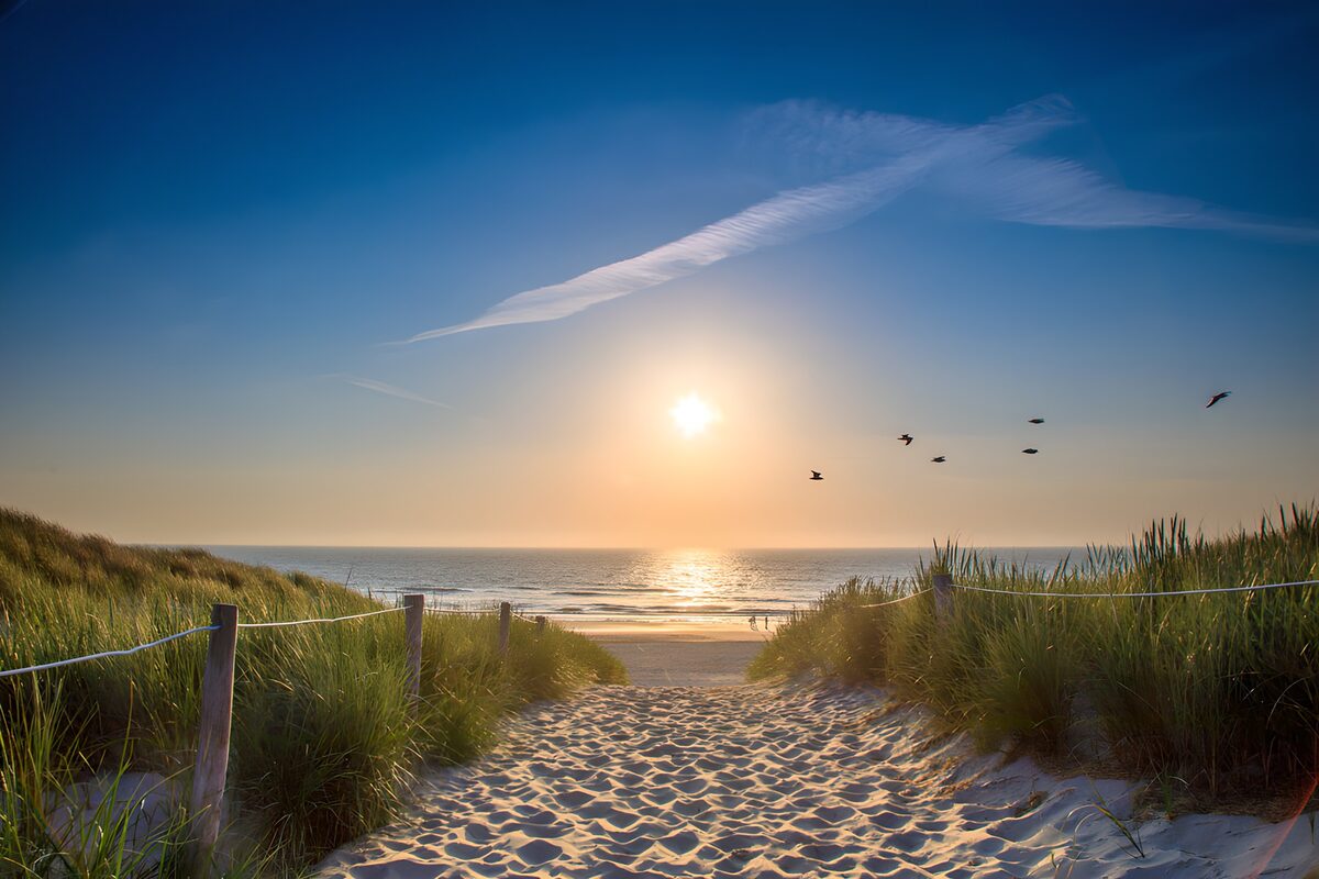 TP11950: Pad door duinen met zonsondergang