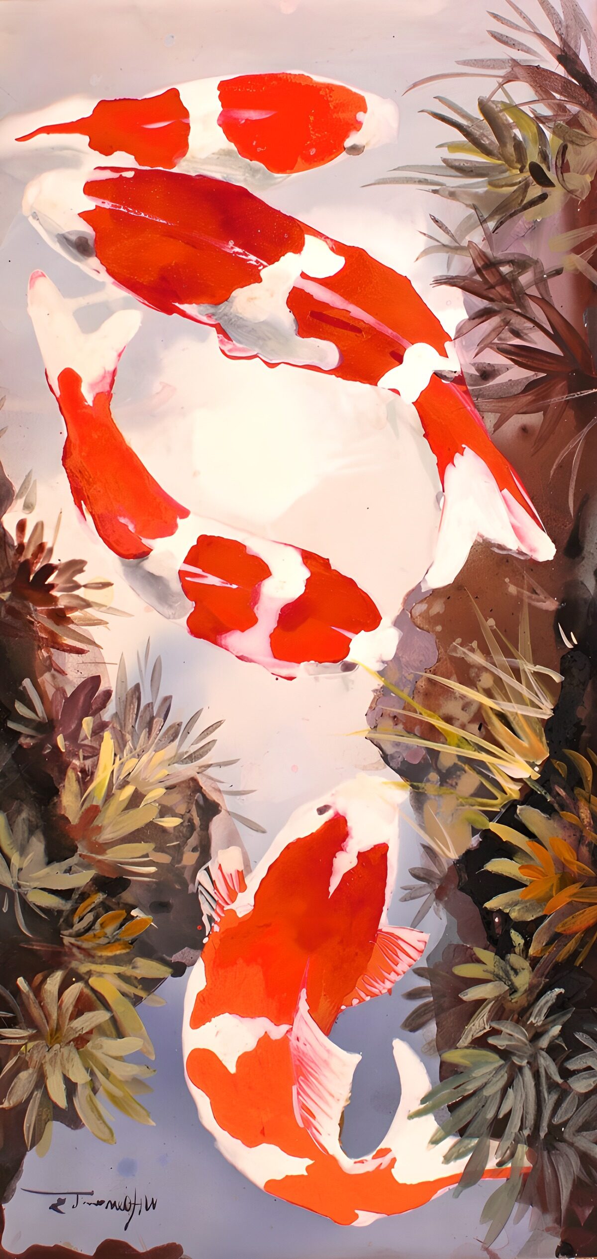 TP89013: Koi-vissen in rustige wateren