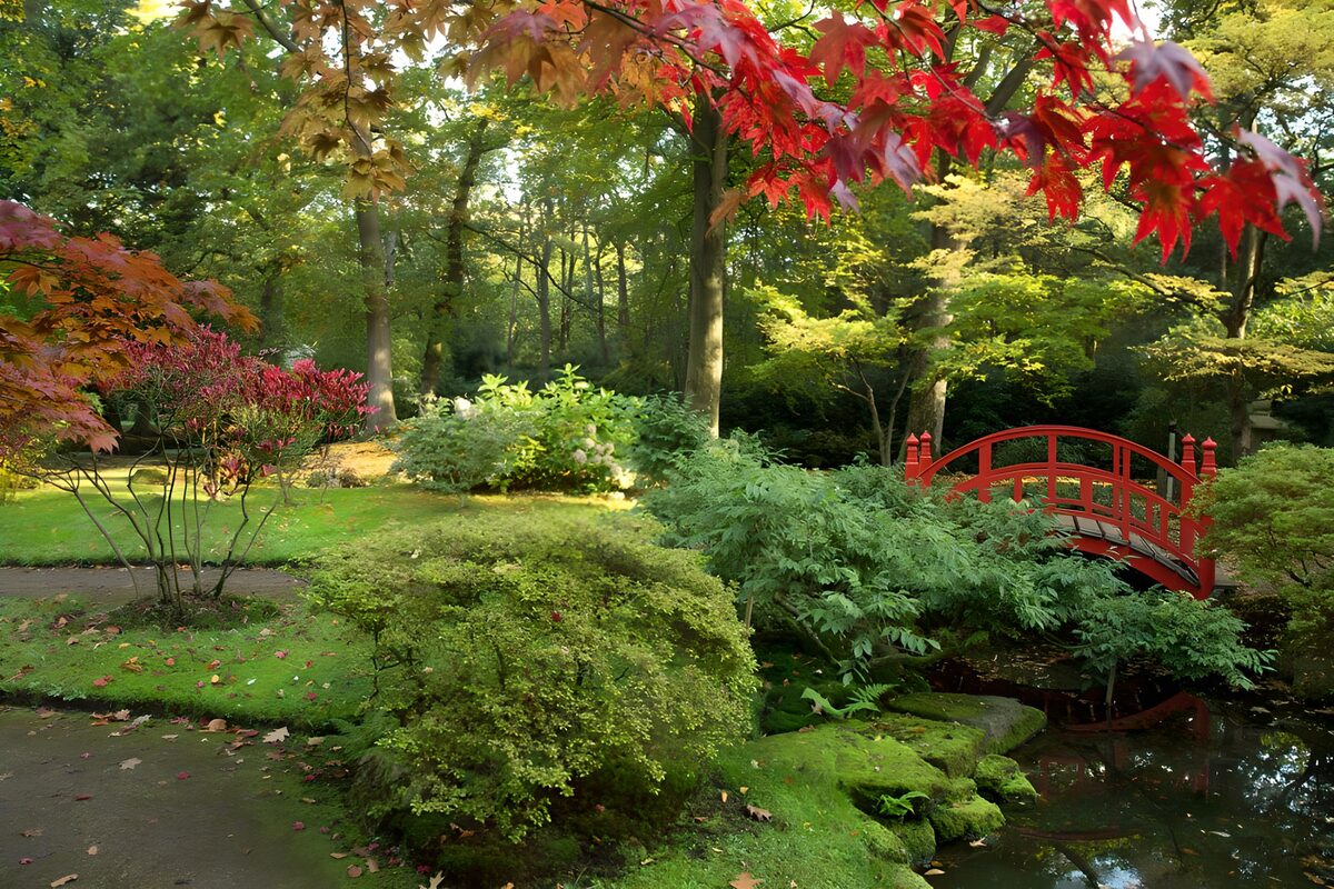 Japans park met rood bruggetje