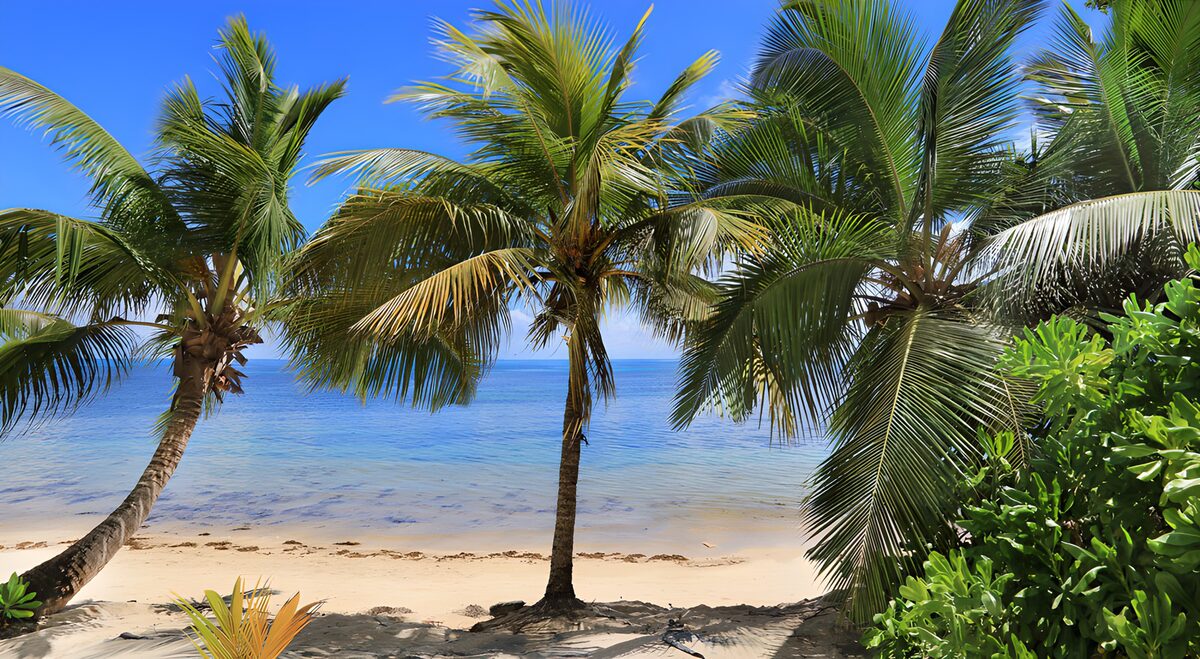 TP38133: Tropisch strand met palmbomen