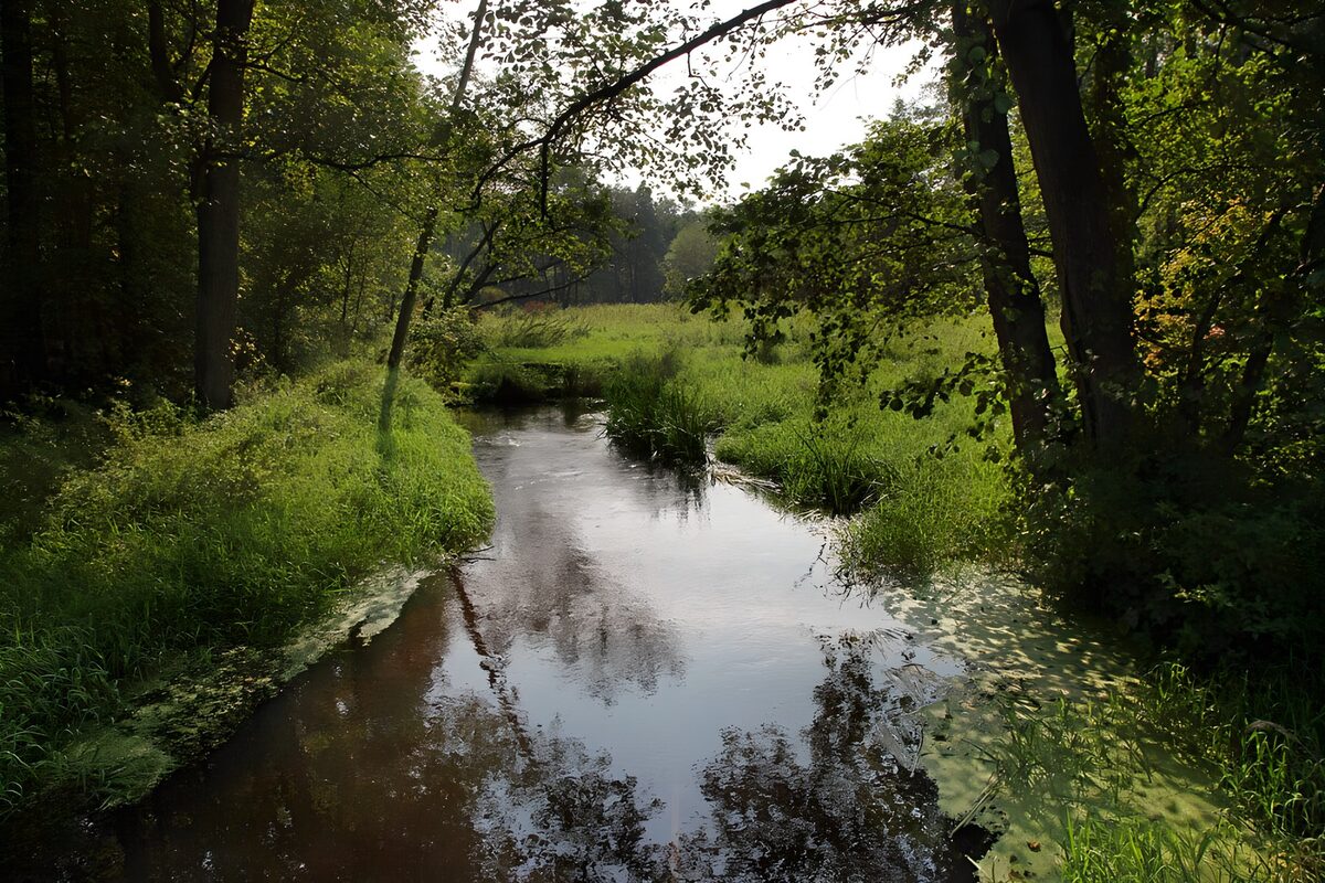 Spiegelend Waterlandschap