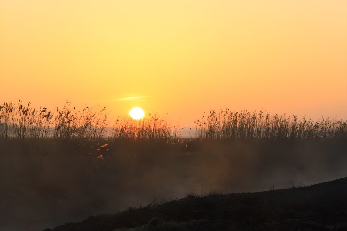 Ochtendzon in de polder