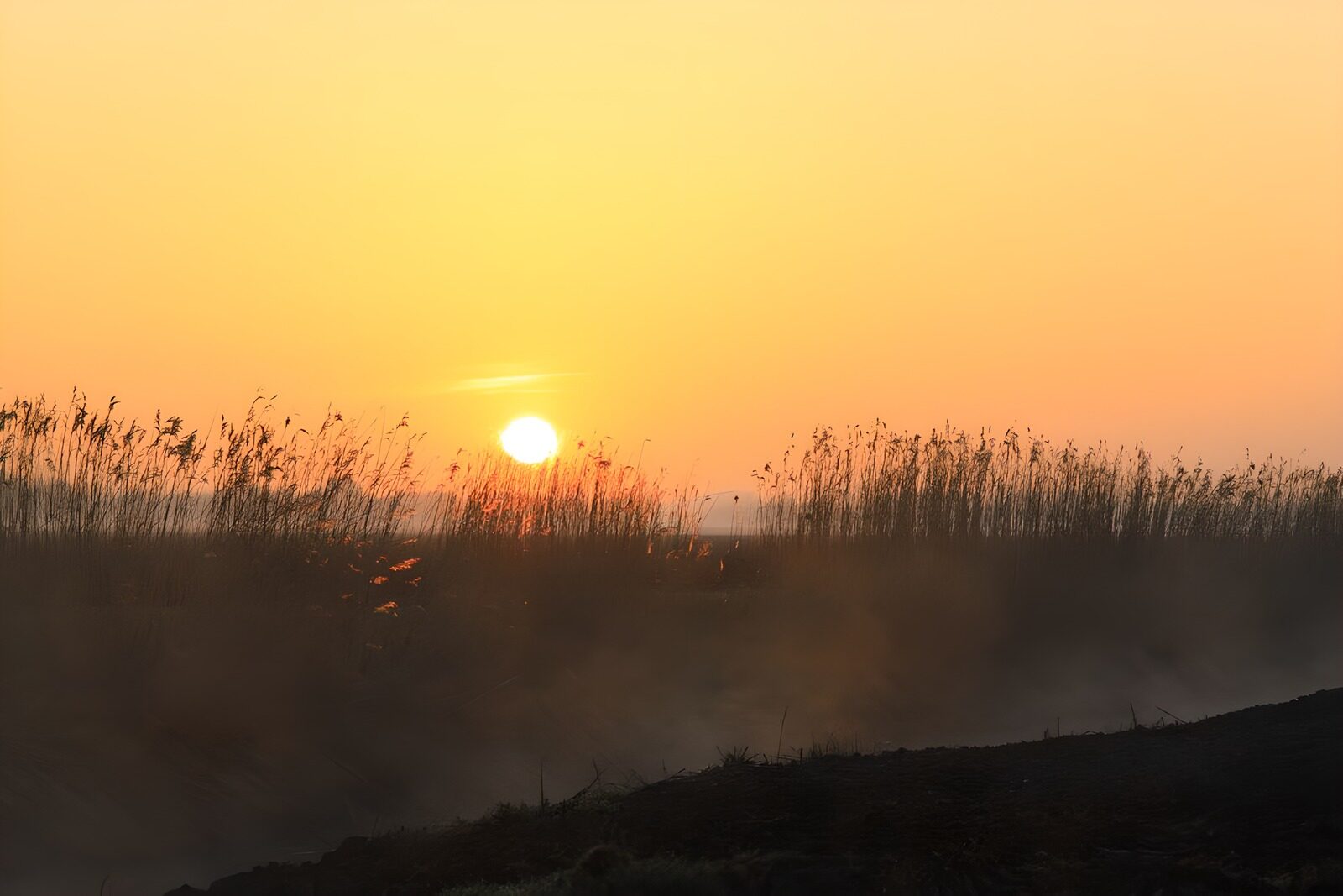 TP65258: Ochtendzon in de polder
