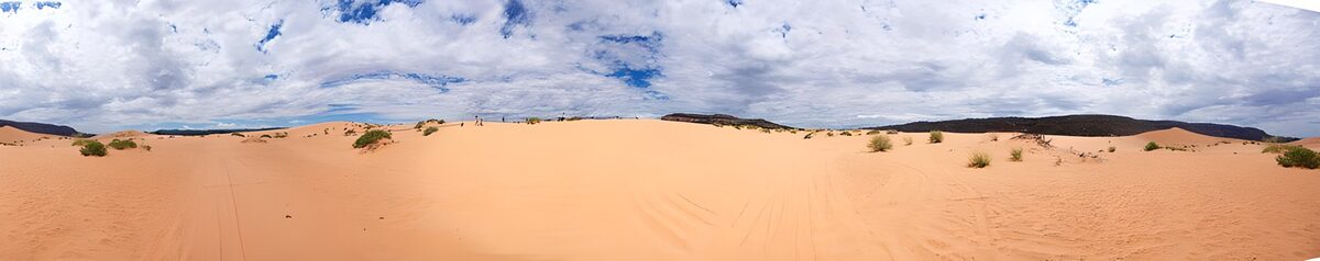 Coral Pink Sand Dunes in Utah