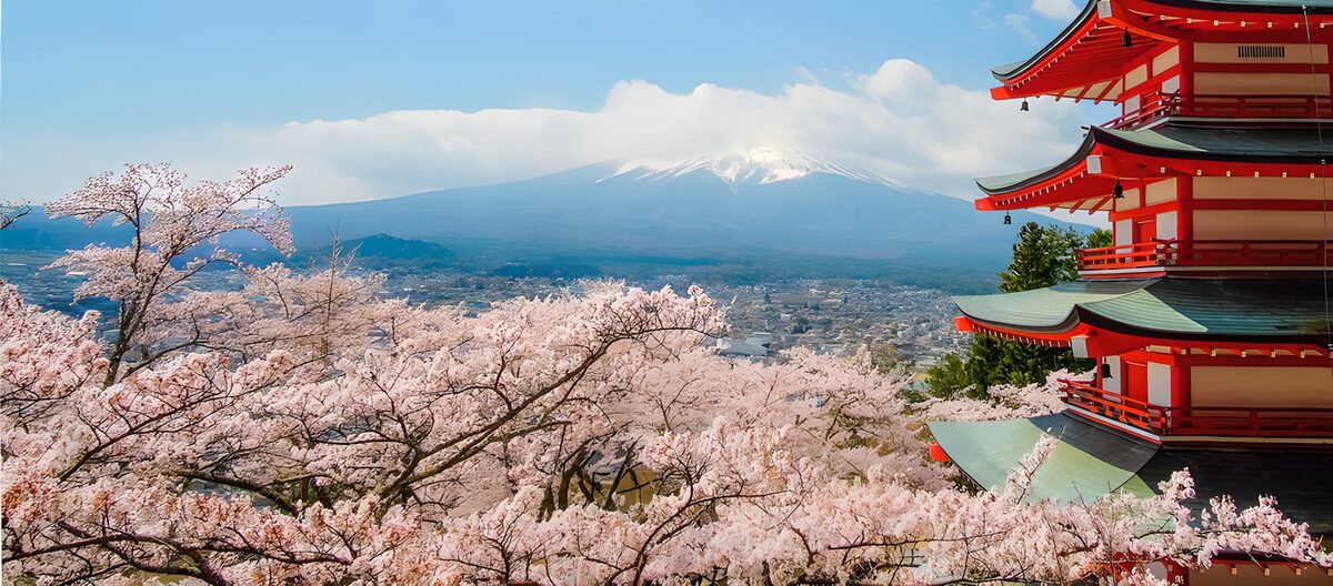 Sakura in het zicht van de Fuji