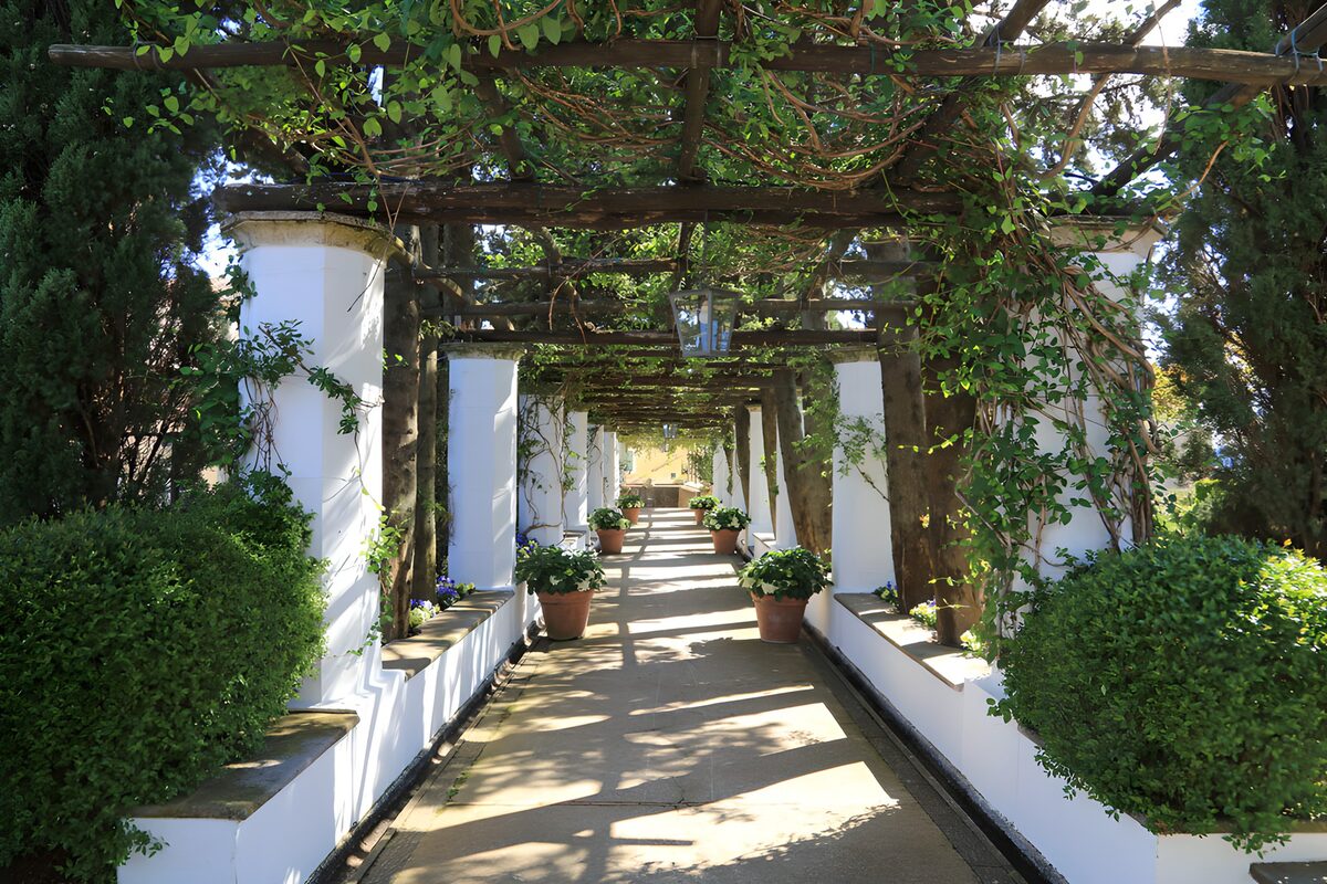 TP22329: Betoverend pad door een prachtige tuin