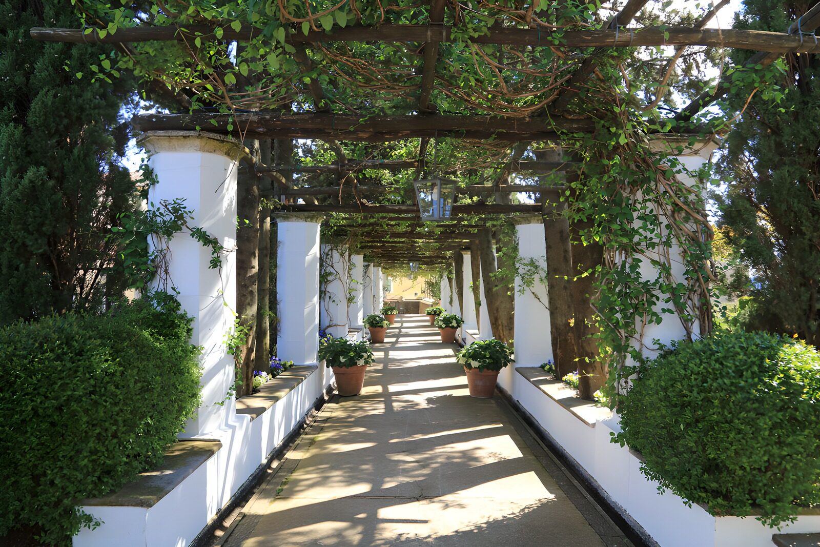 TP22329: Betoverend pad door een prachtige tuin