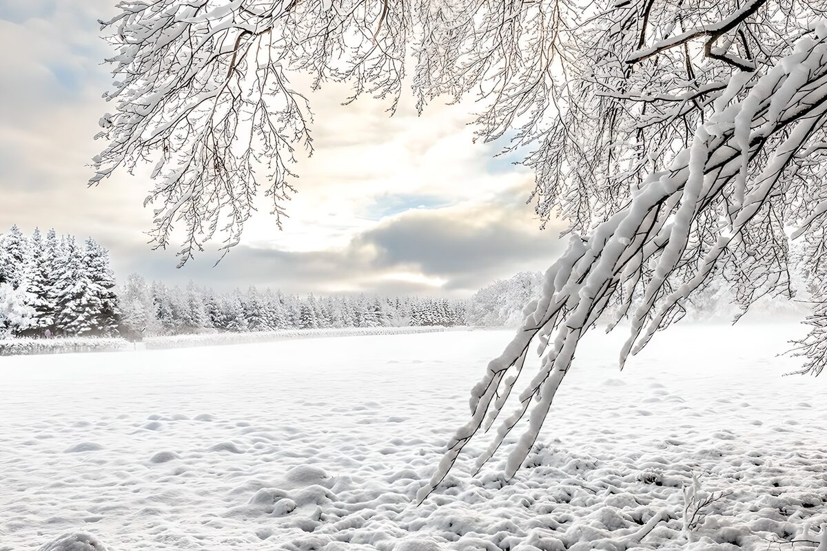 Sneeuwlandschap onder een grijze lucht