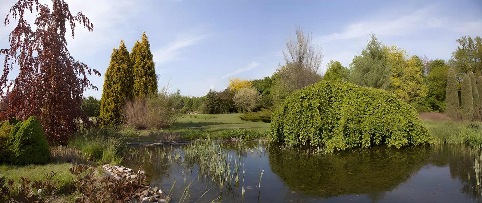TP45999: Prachtig landschap met vijver en bomen