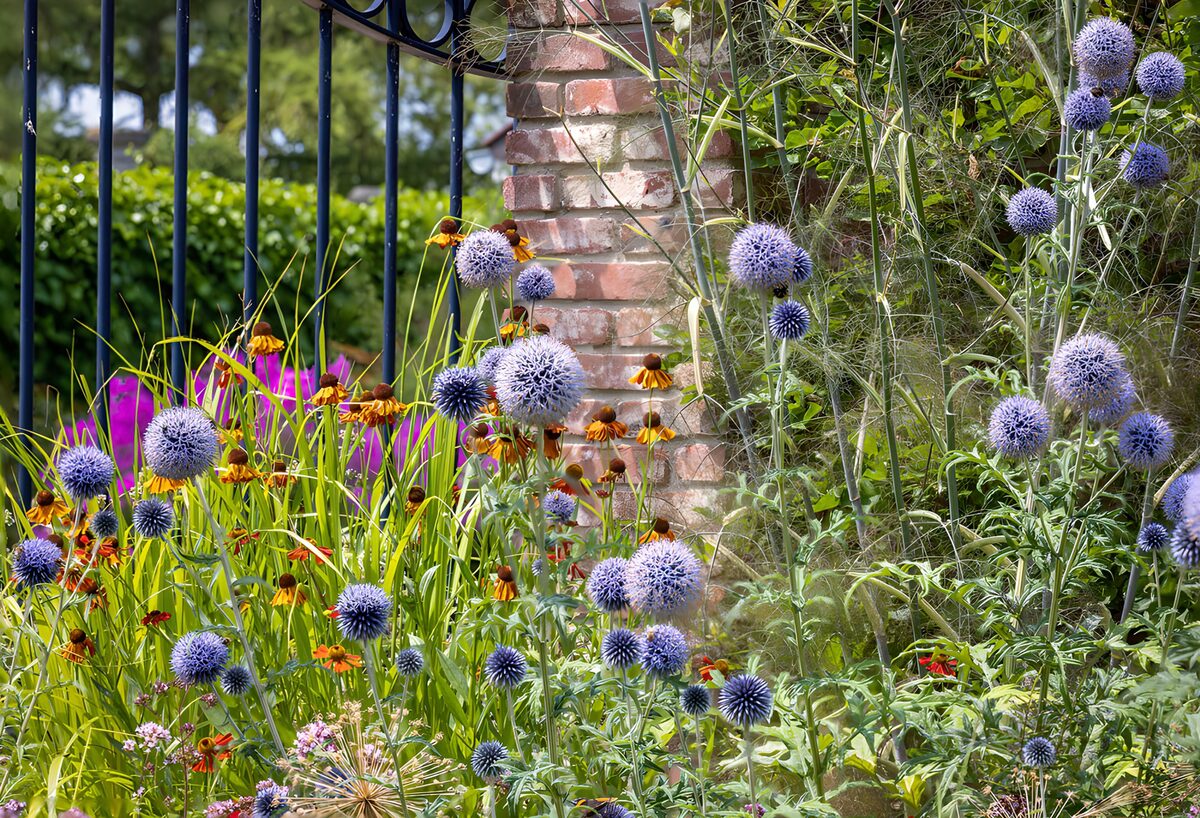 Kleurrijke bloementuin bij een muur