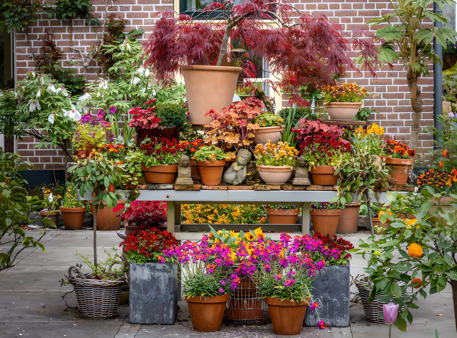TP97743: Kleurrijke plantenpracht in de tuin
