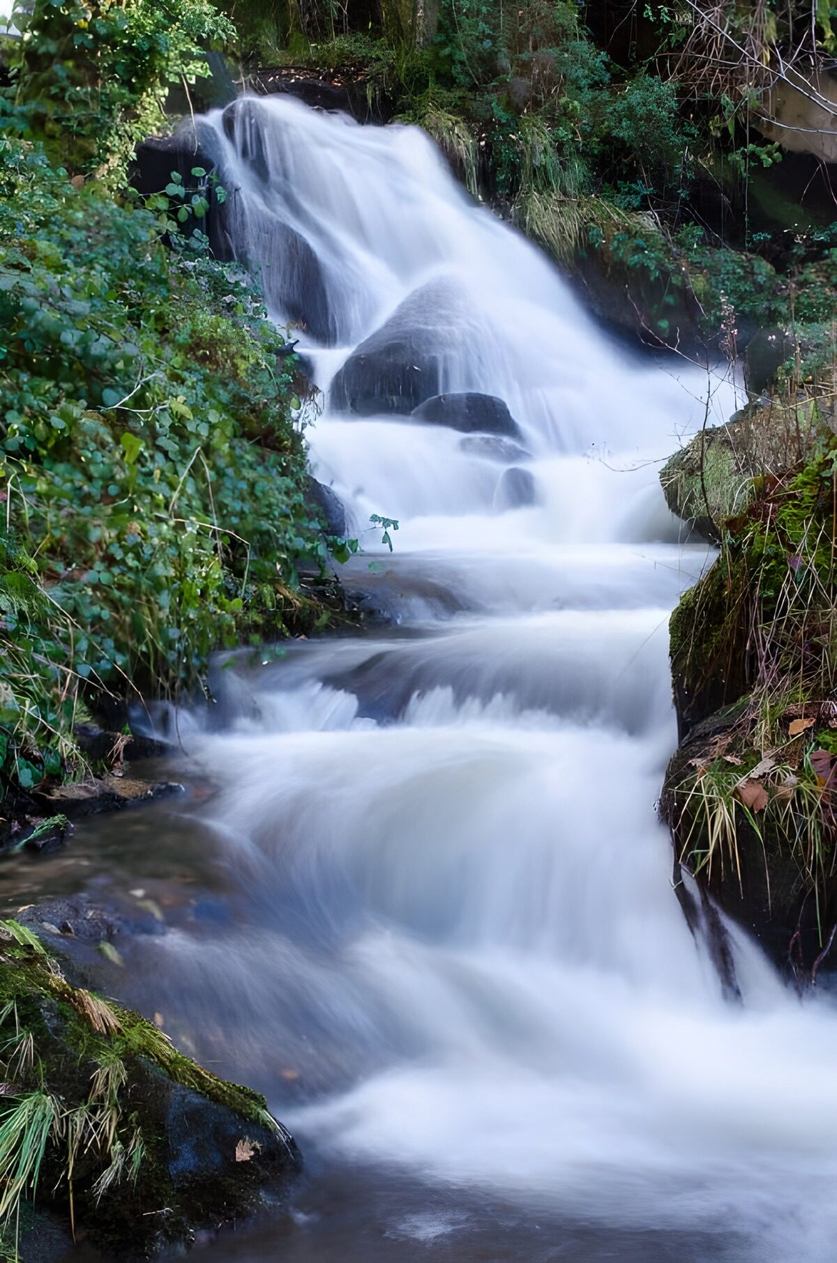 Charmante waterval in de natuur