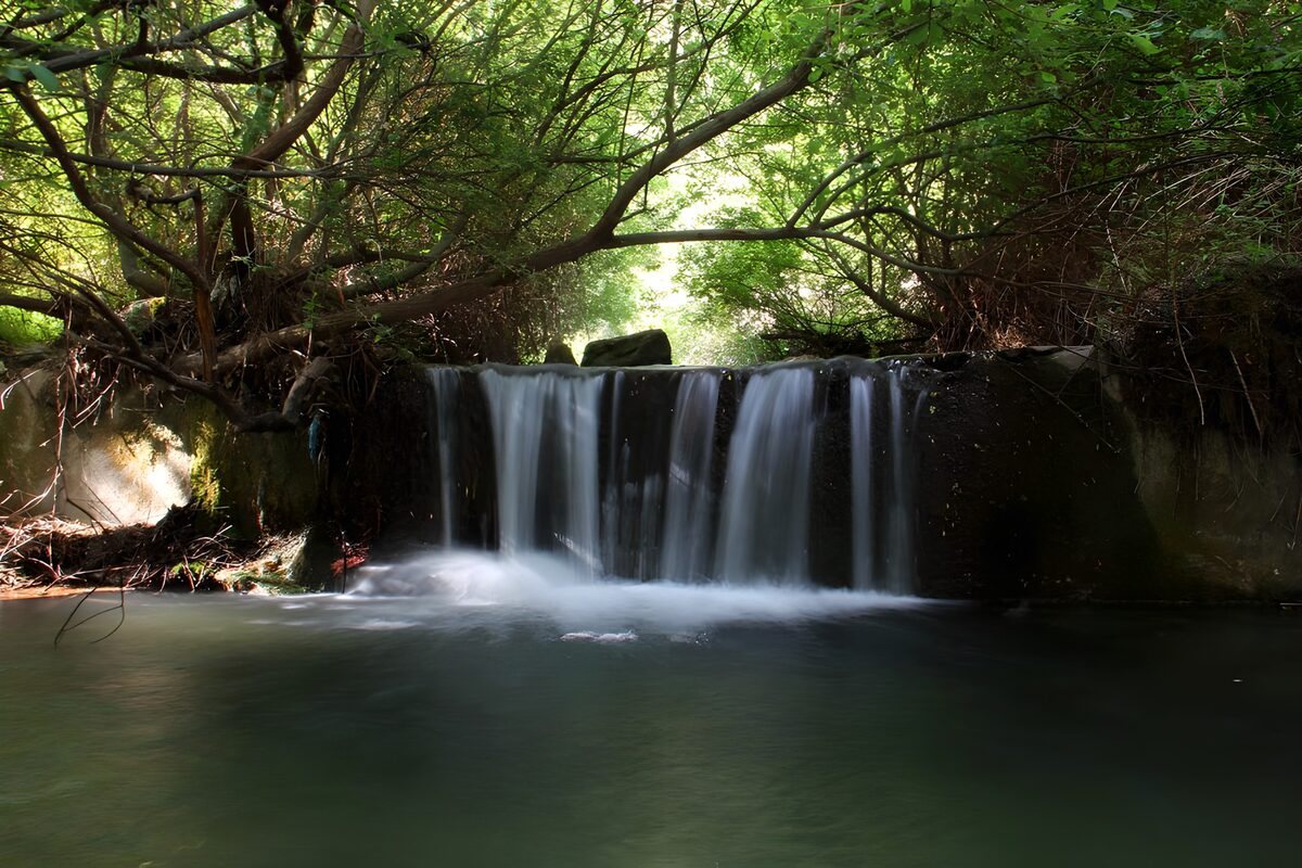 Rustige waterval in groene oase