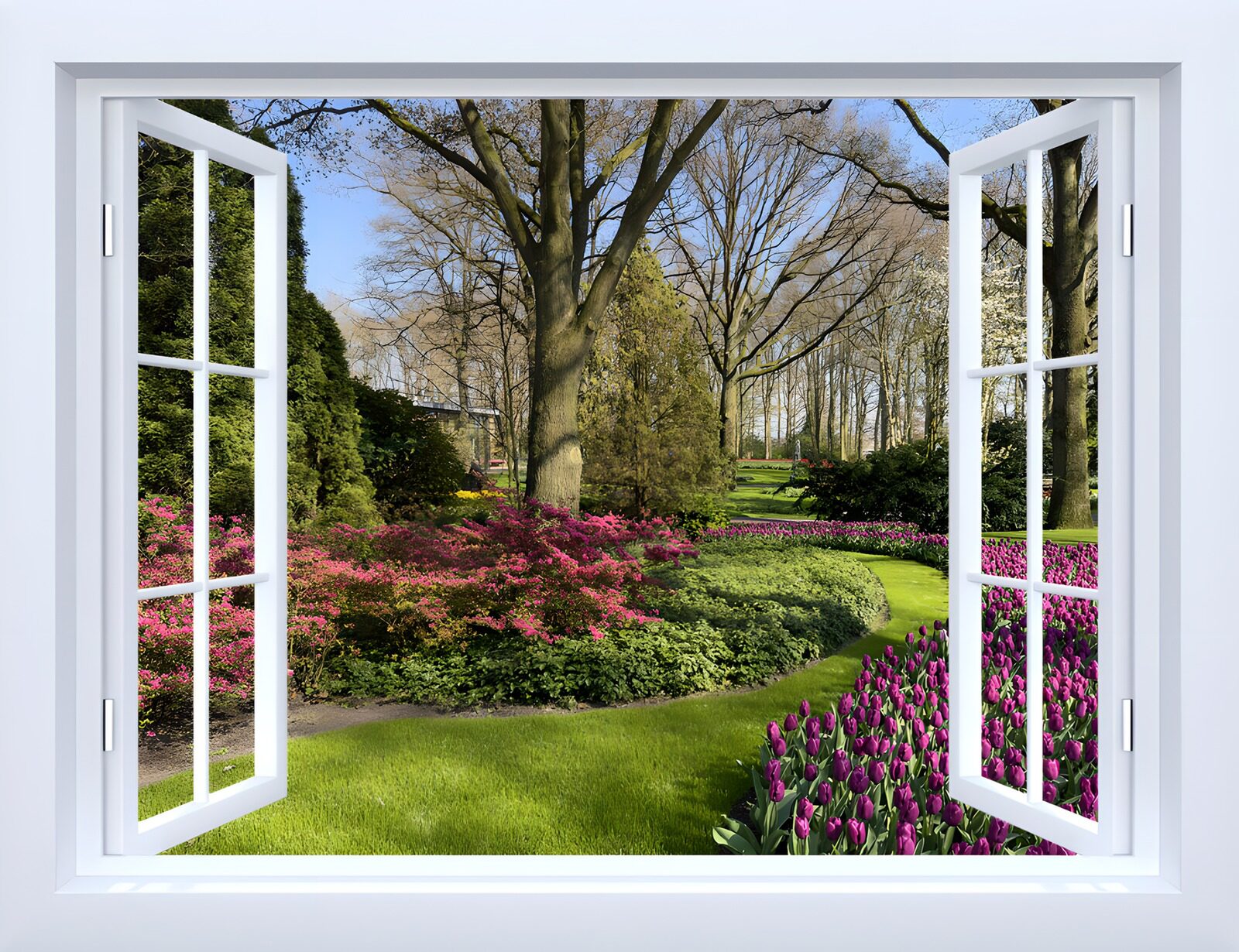 TP50027: Uitzicht op een bloeiende tuin