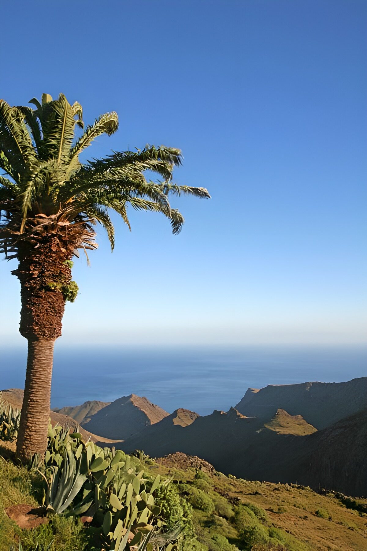 La Gomera 27
