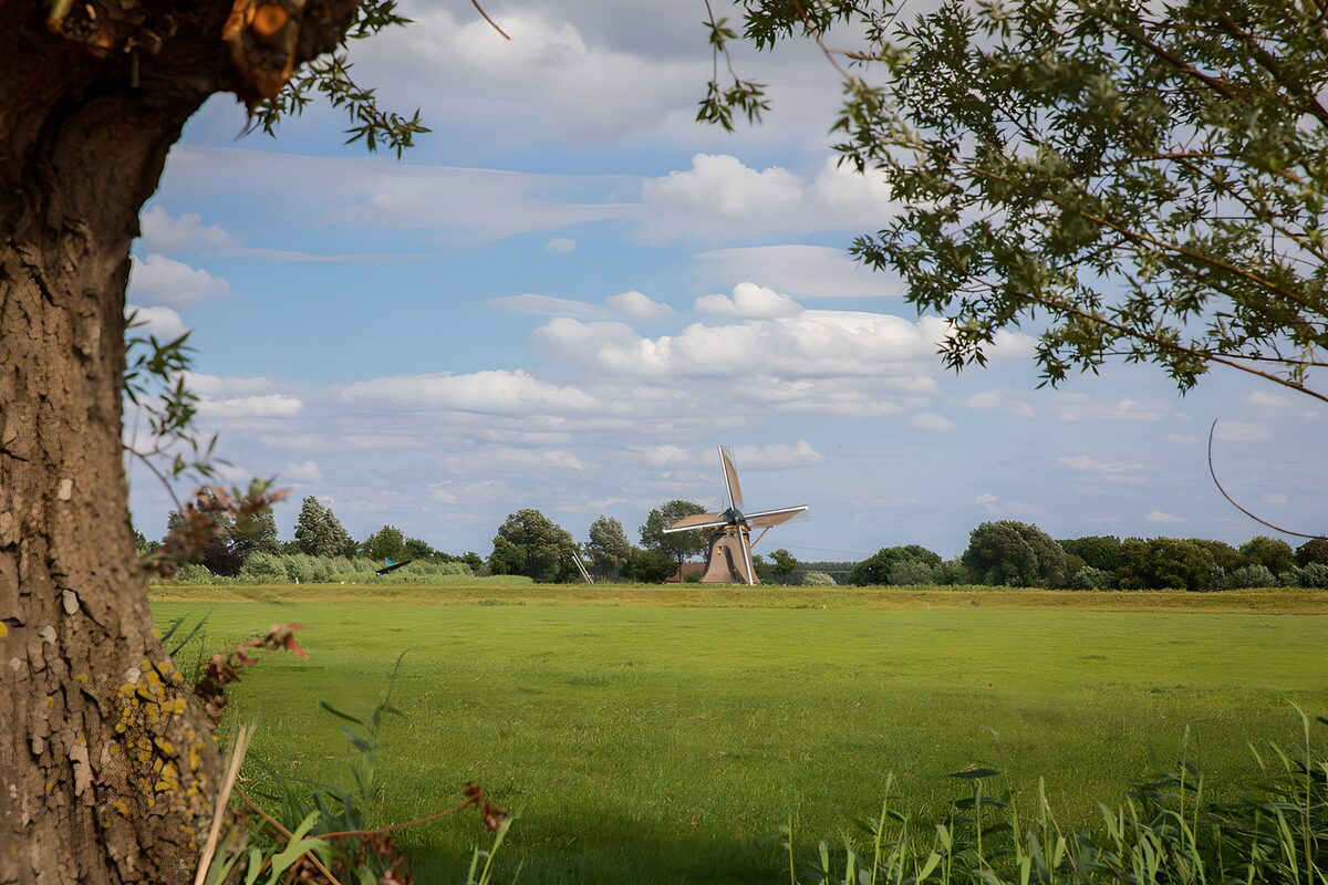 TP96348: Molens in het Groene Landschap