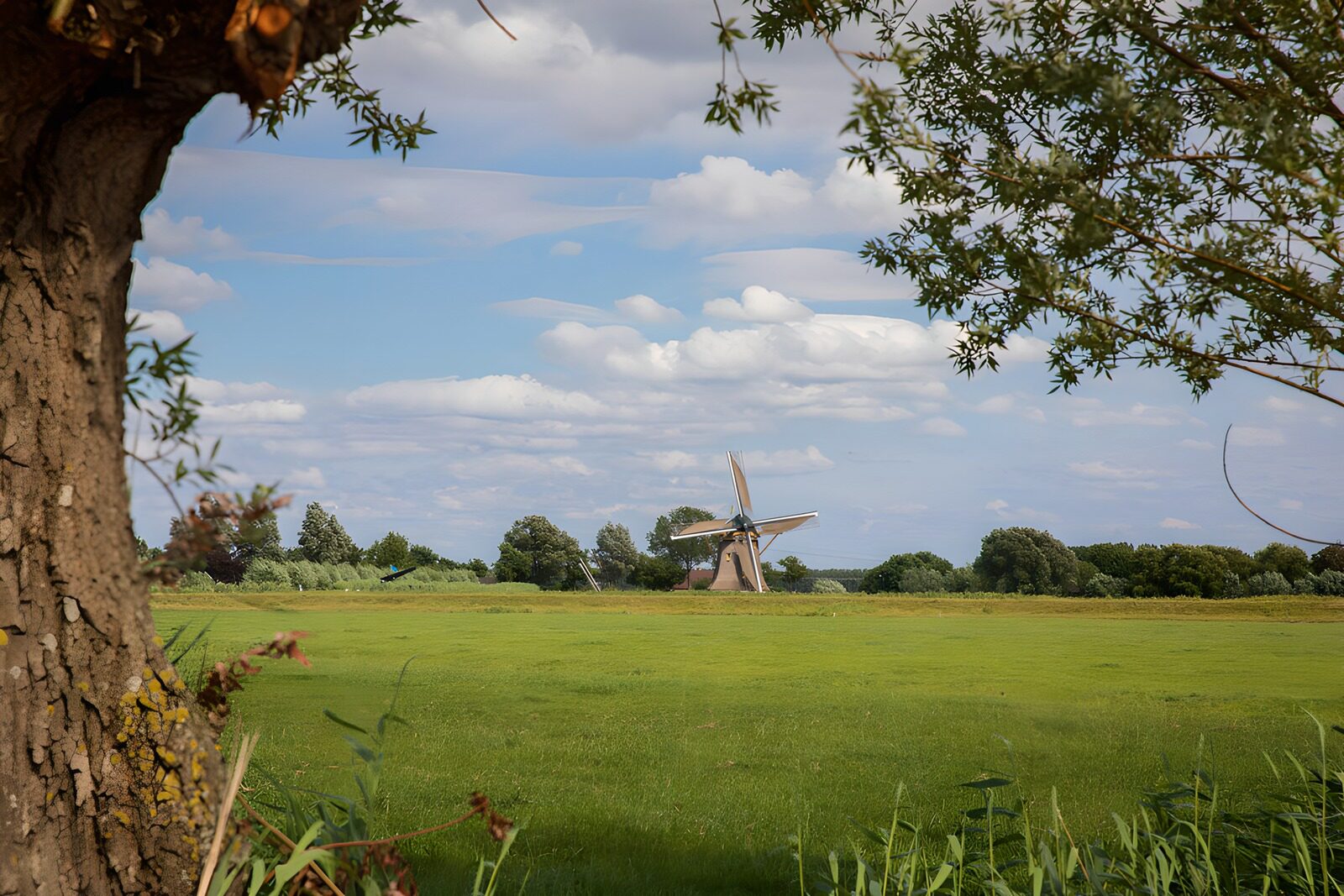 TP96348: Molens in het Groene Landschap