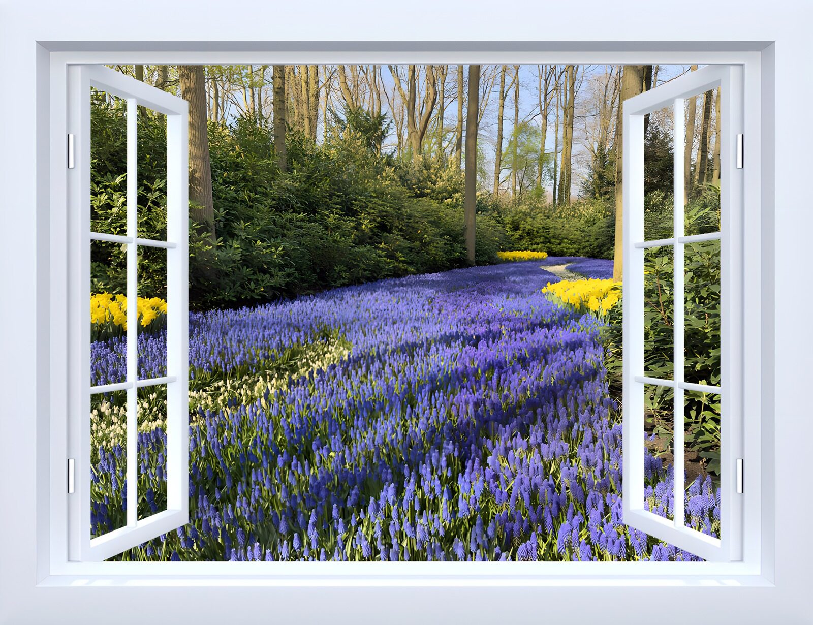 TP94160: Bloeiende velden door het raam