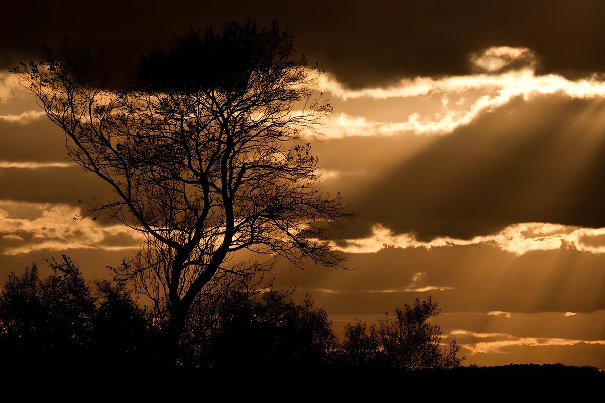 Mystieke zonsondergang met silhouet