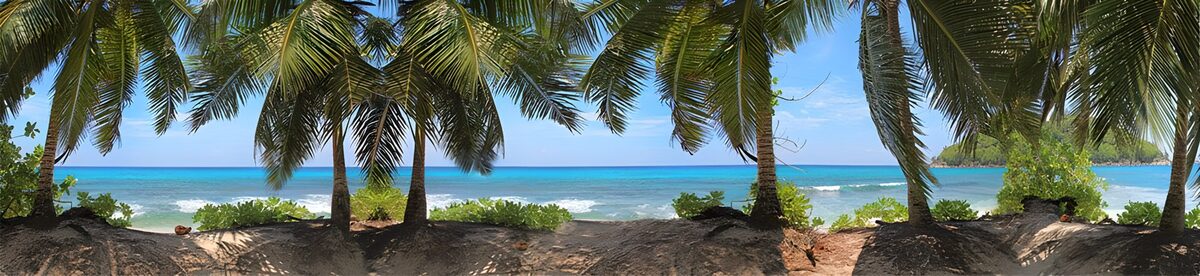 Panorama palmbomen met uitzicht op de Indische Oceaan