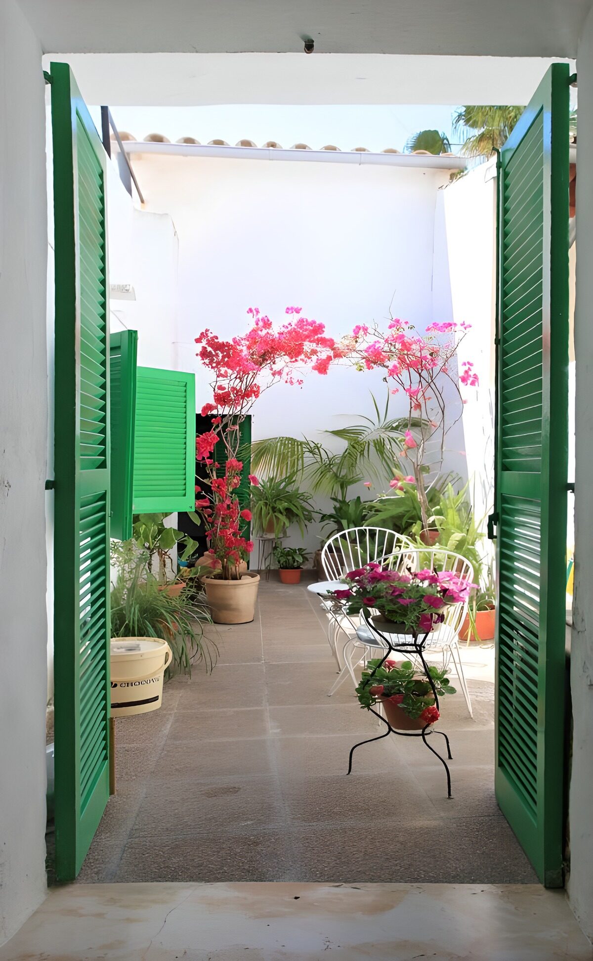 TP23732: Openslaande groene luiken met uitzicht op patio