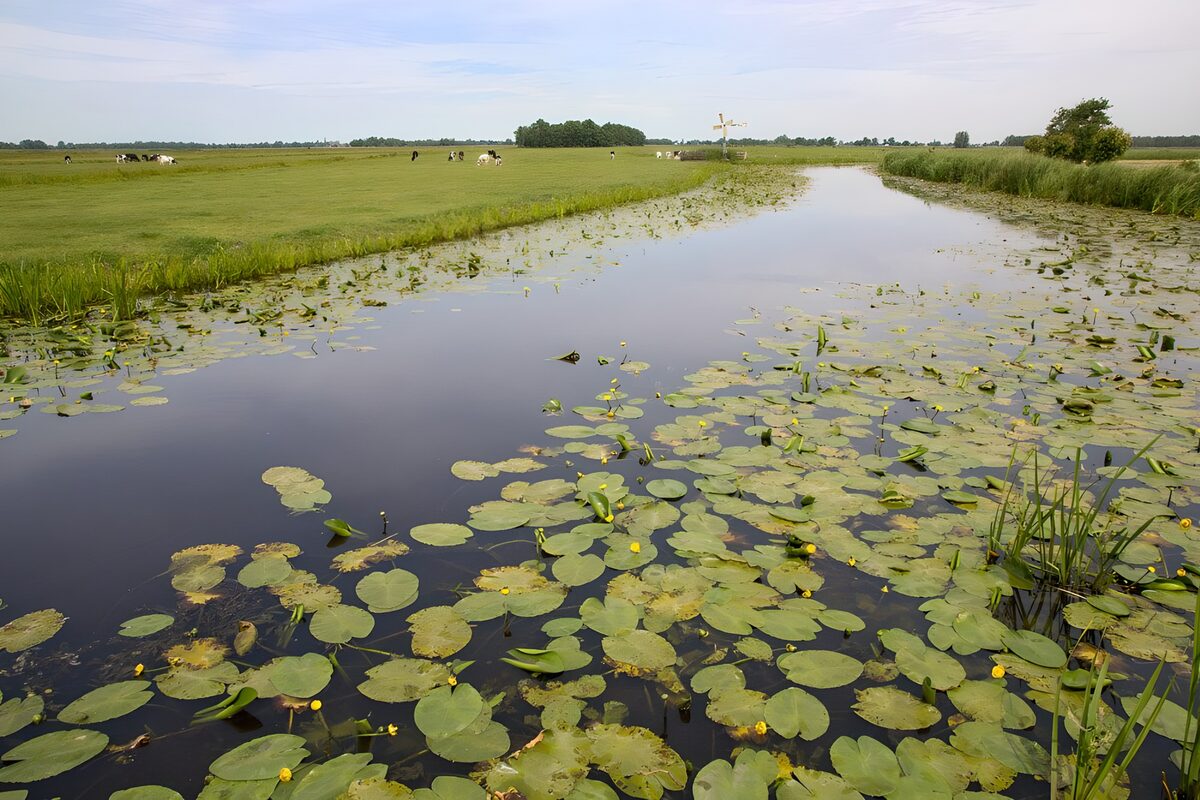 TP97451: Uitzicht op vaart