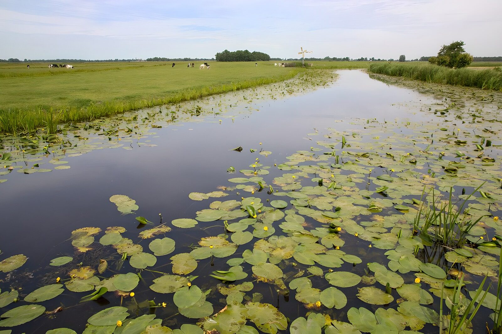 TP97451: Uitzicht op vaart