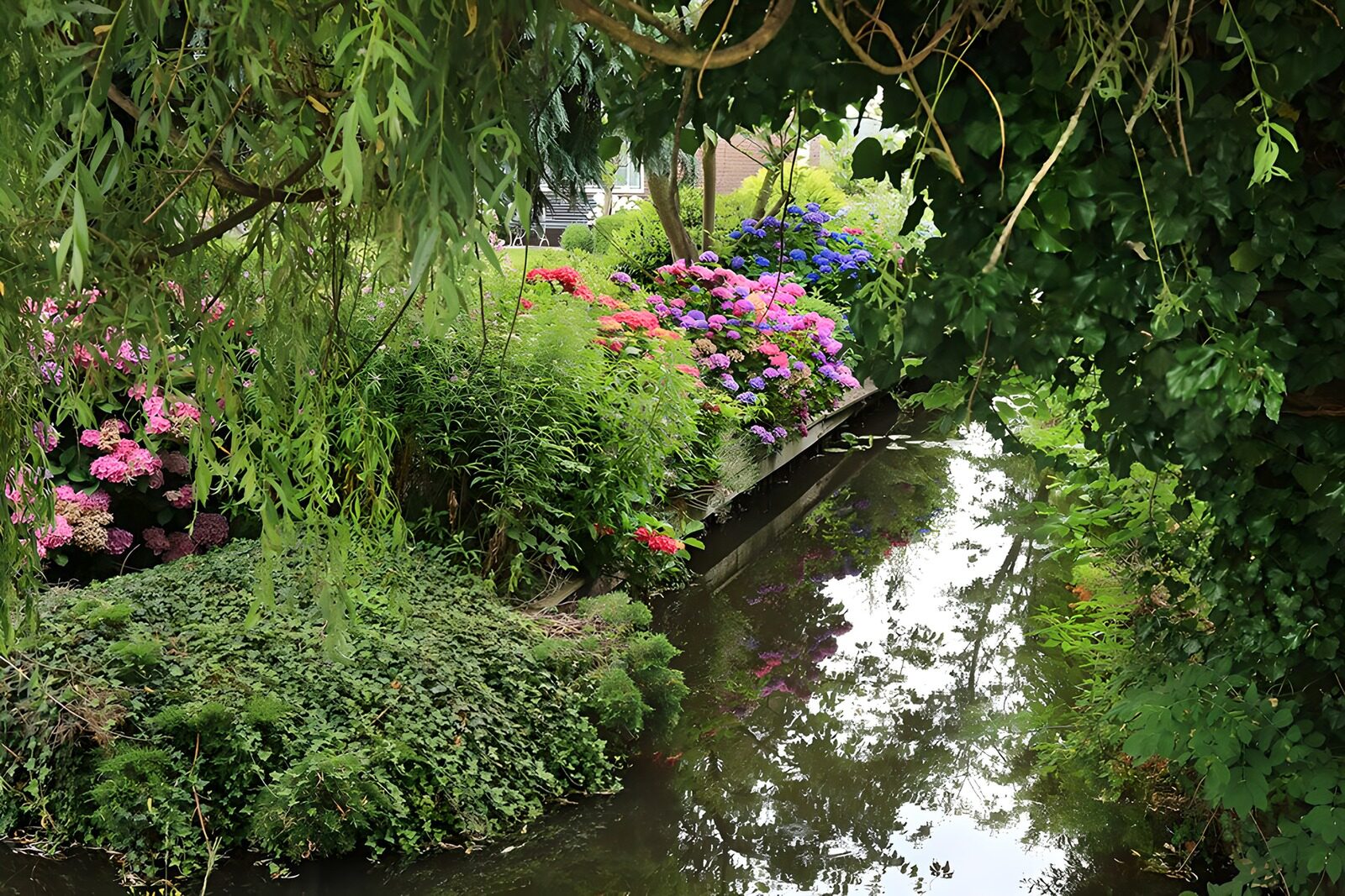 TP63140: Doorkijk met hortensia in Loosdrechtse plassen