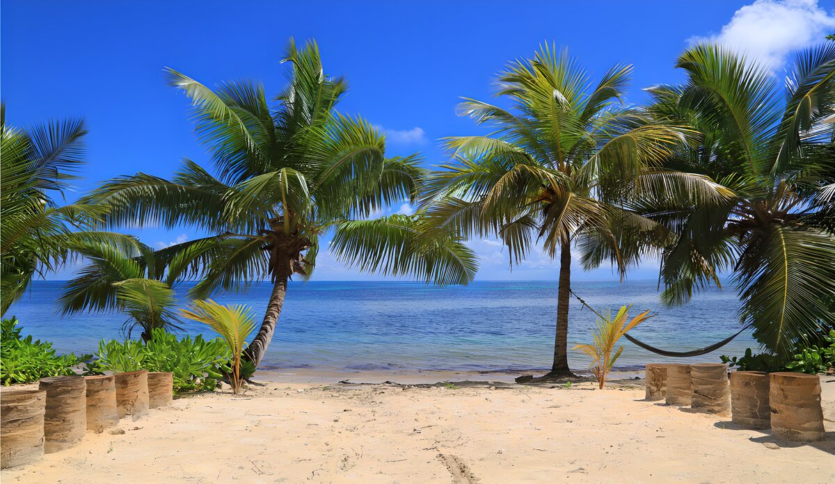 Strand met palmboom tonnen en azuurblauwe zee