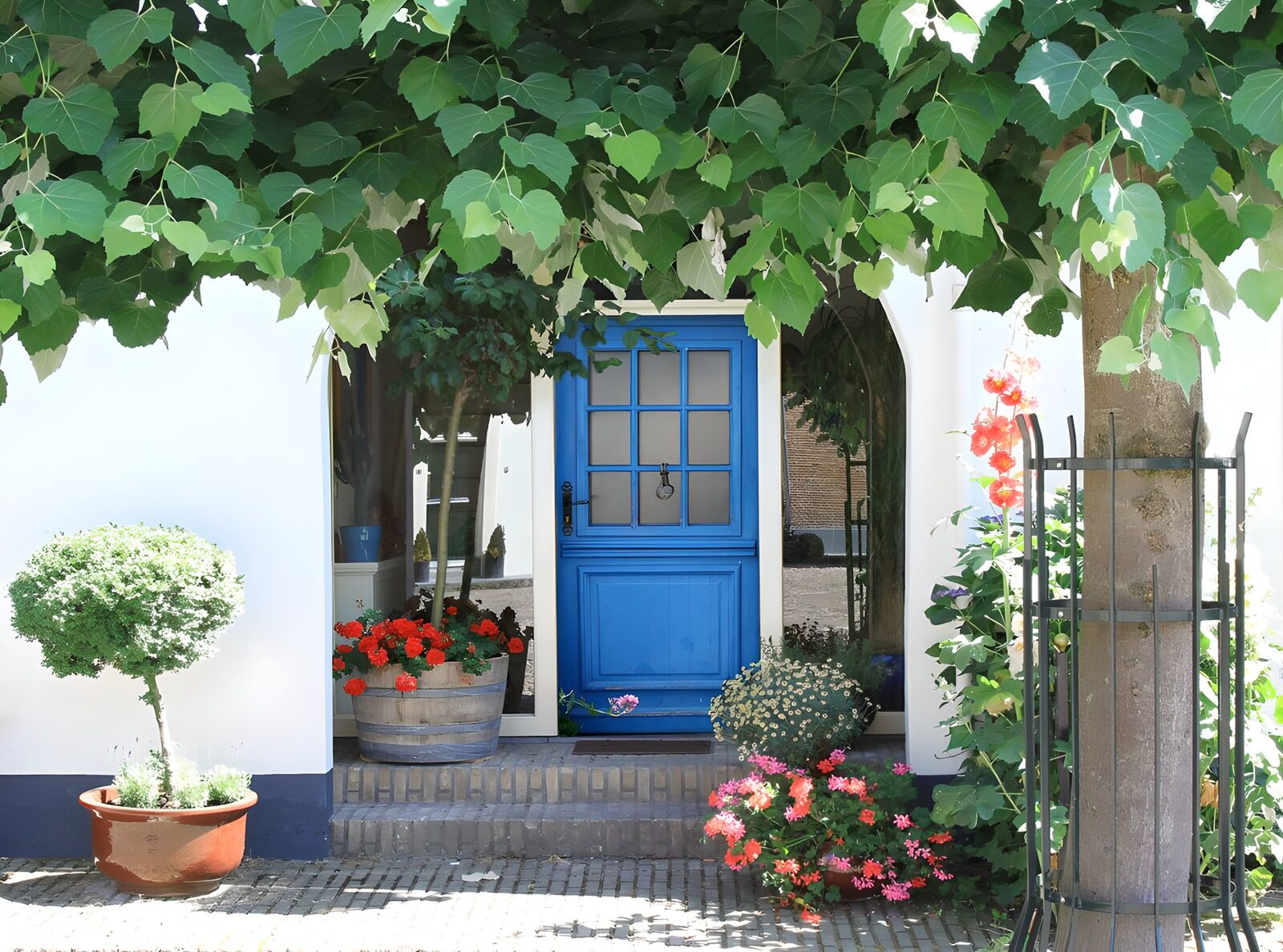TP58365: Huis met blauwe deur druivenranken diverse bloemen en planten