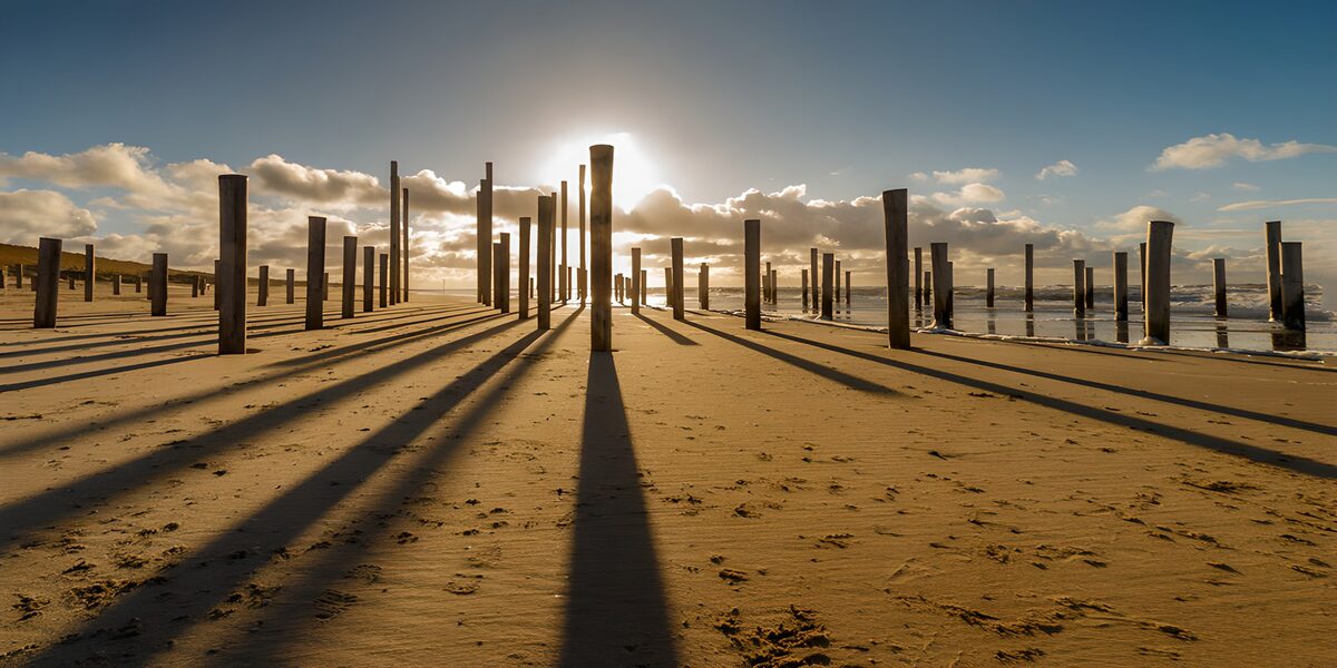 TP84283: Schaduwspel van Palen aan Zee