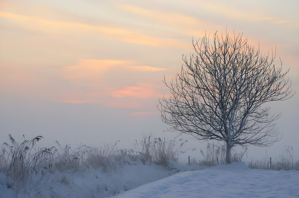 De grauwe dag avondrood