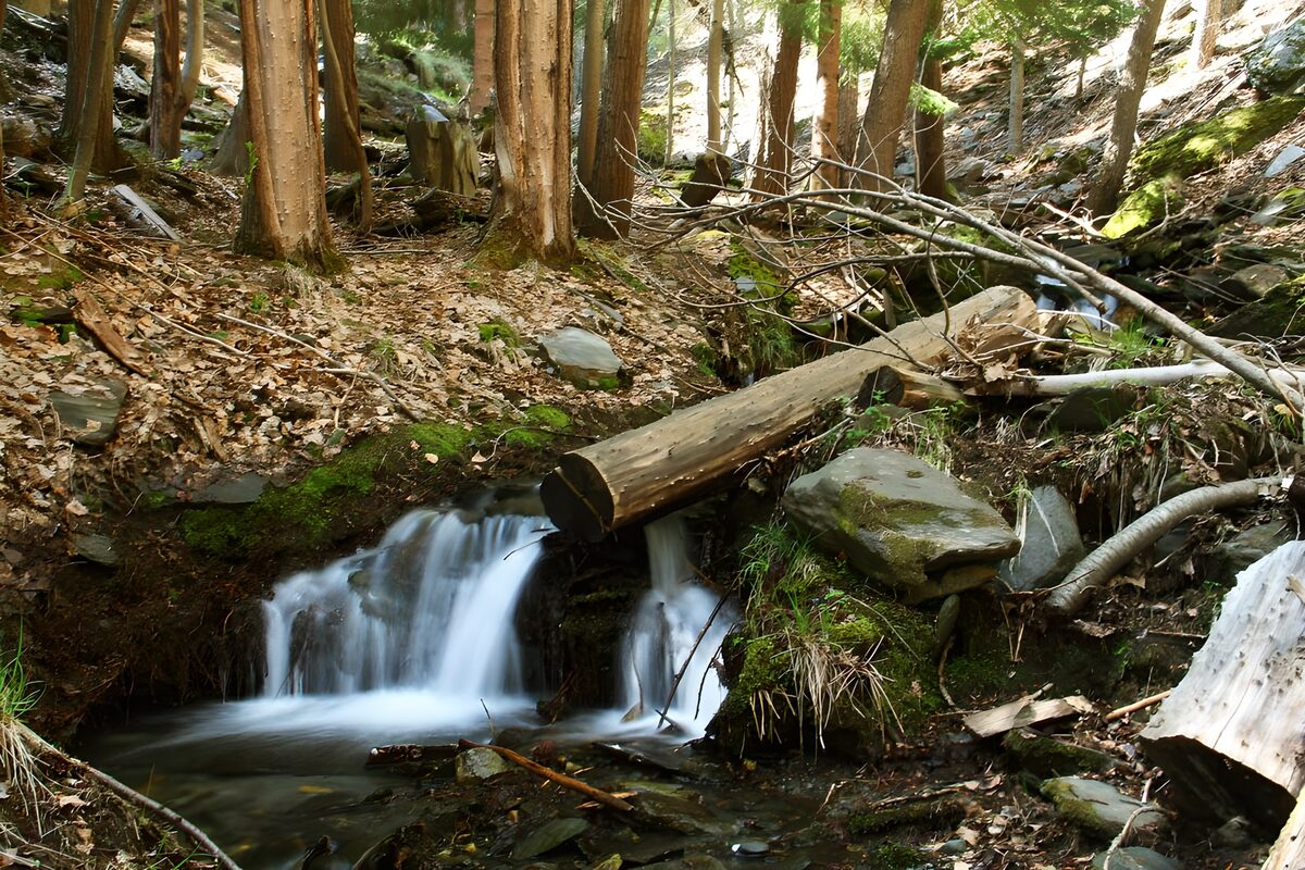 Rustige waterval in het bos