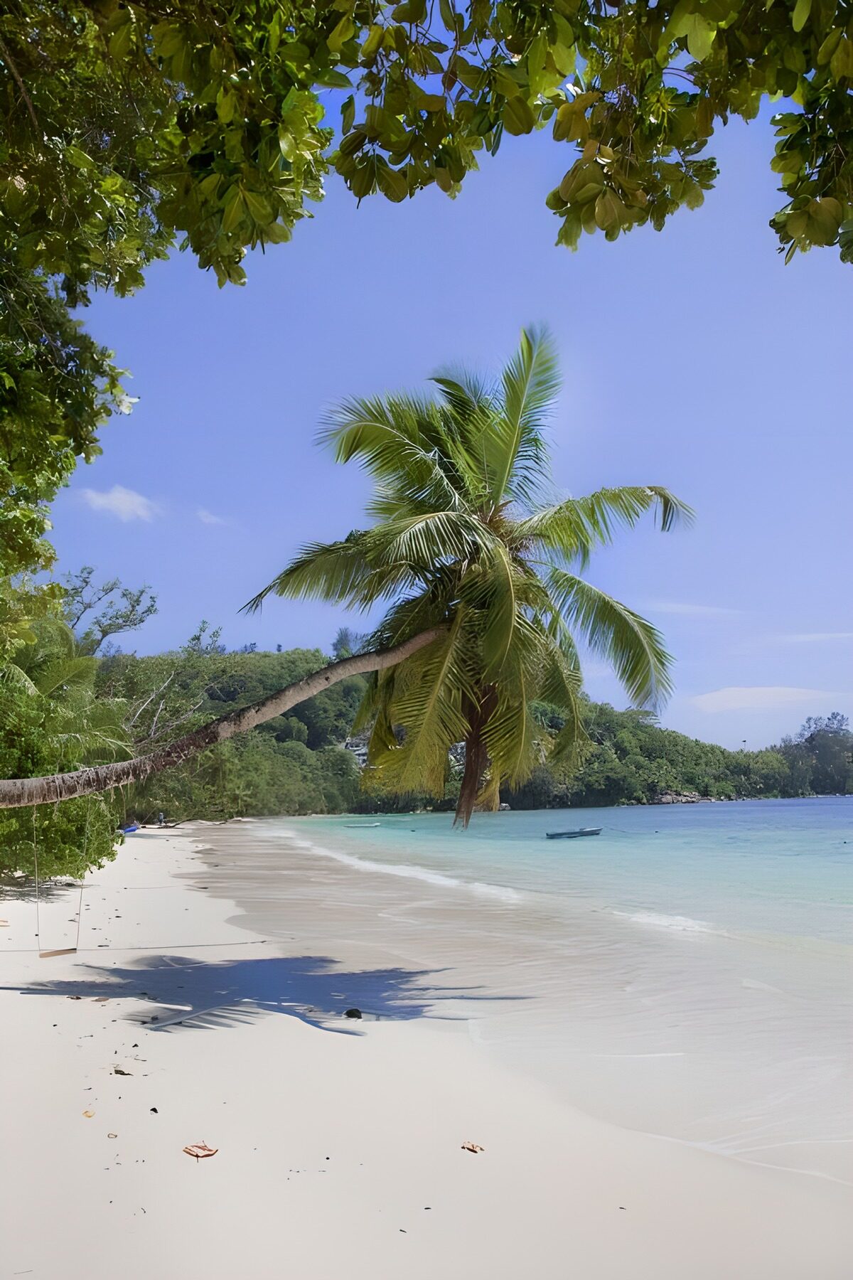 Tropisch Paradijs met Palmbomen