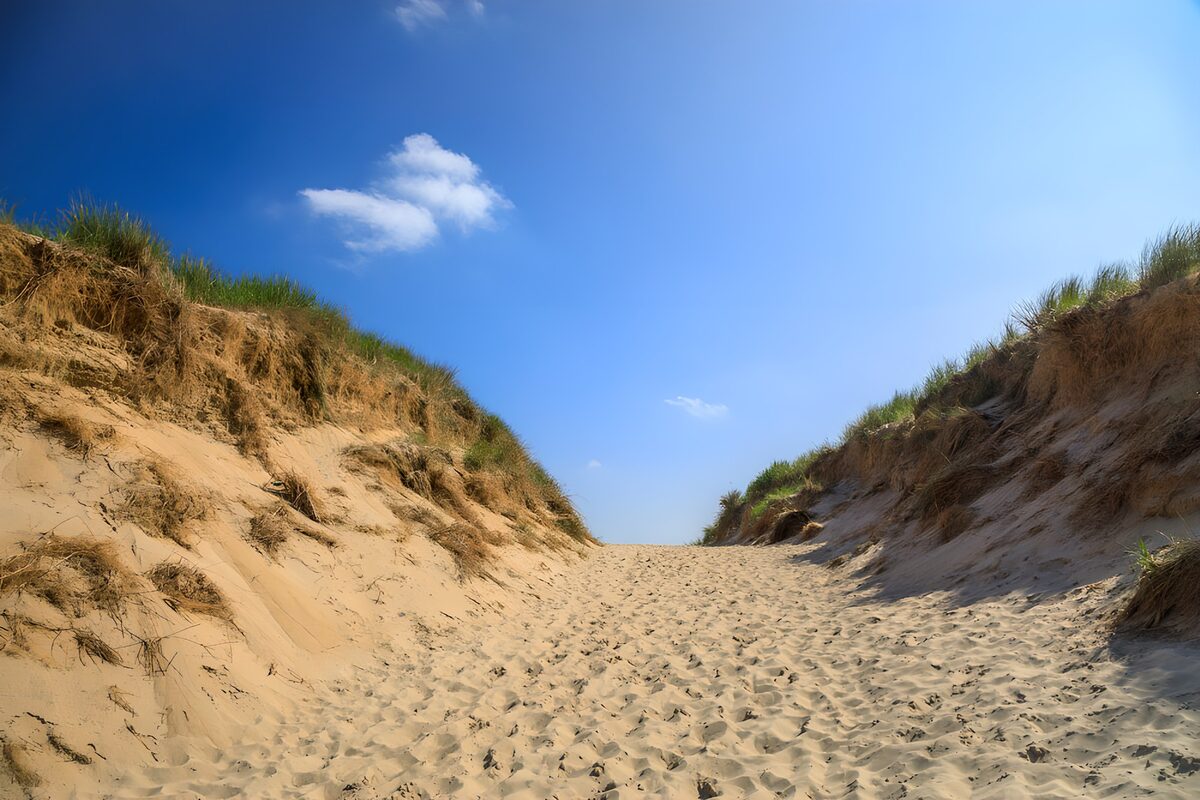 TP65633: Pad door duinen