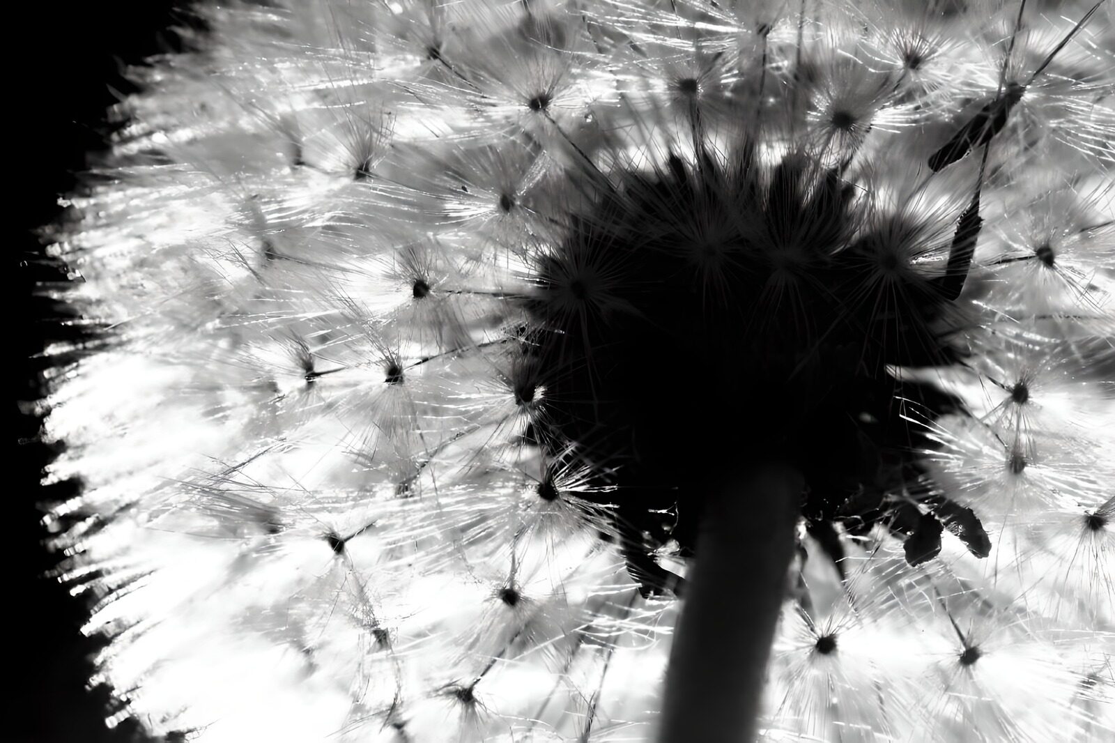 TP99723: From below Pappus