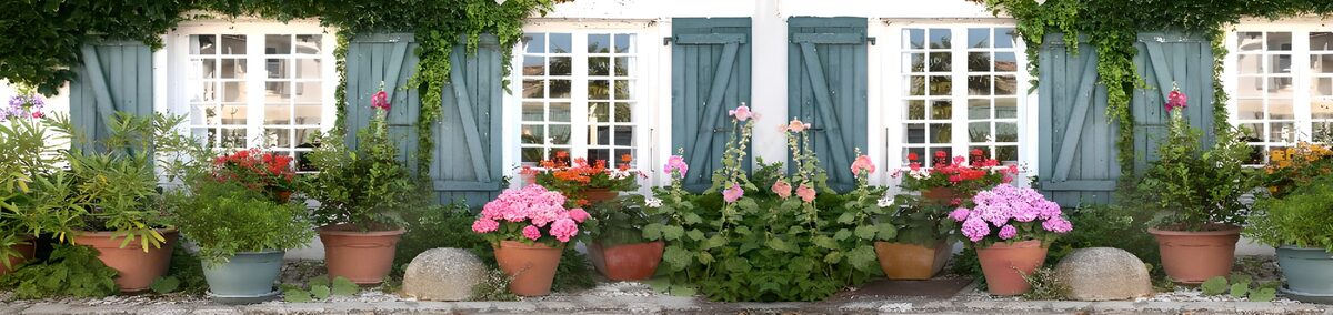 Kleurrijke bloementuin bij het huis