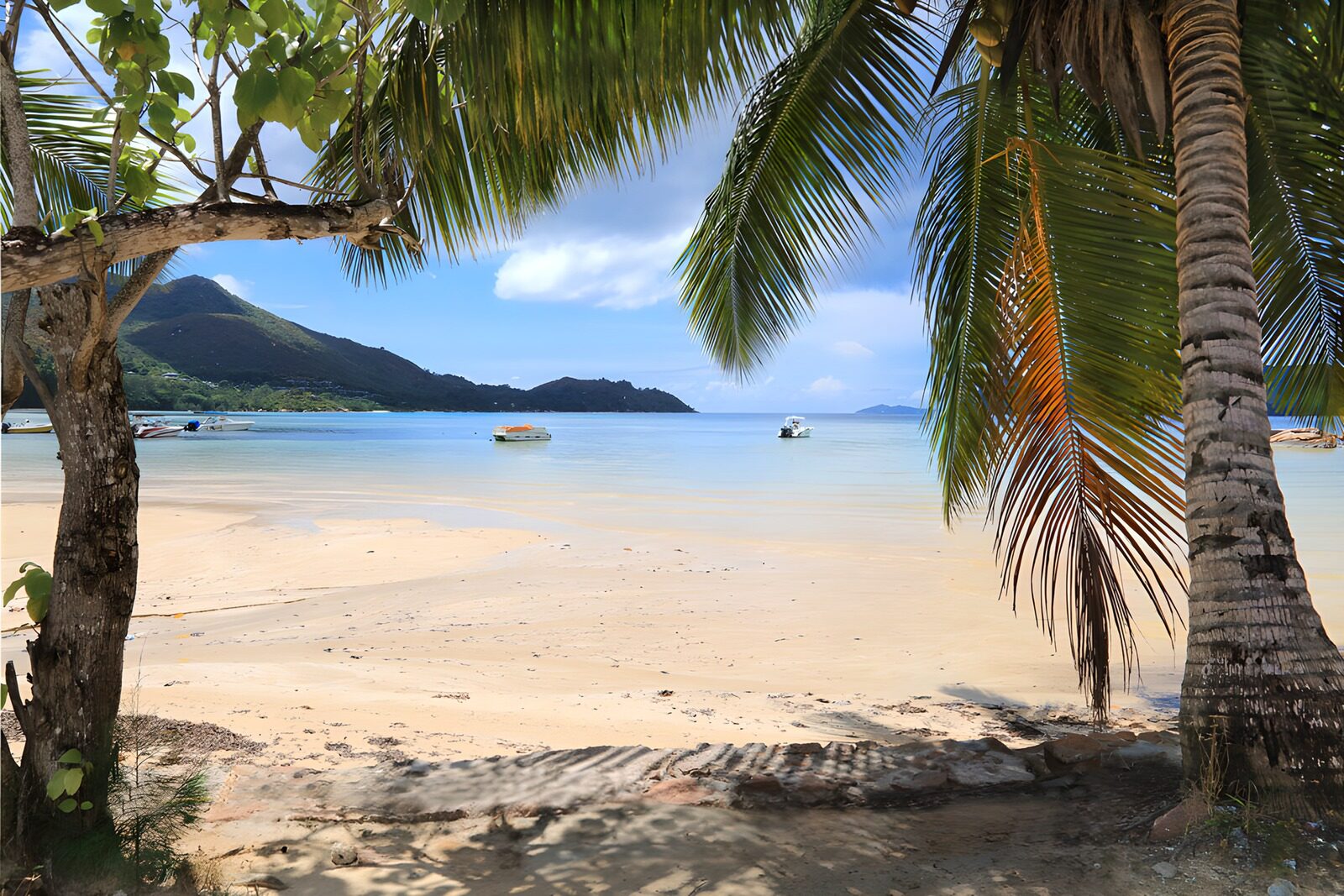 TP52831: Uitzicht op tropisch strand met palmbomen