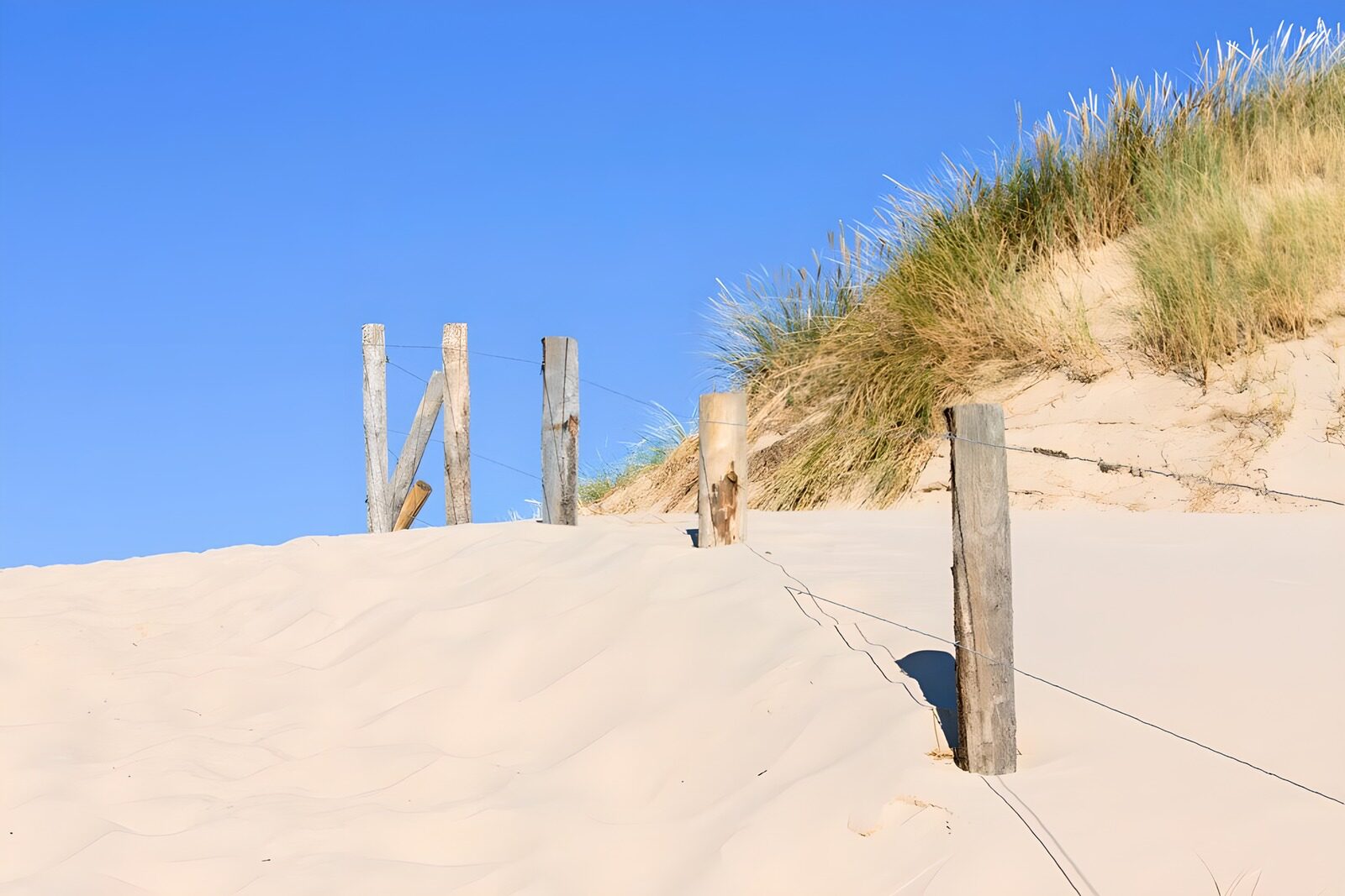 TP73884: Zandpad naar zee in Bergen aan zee 4