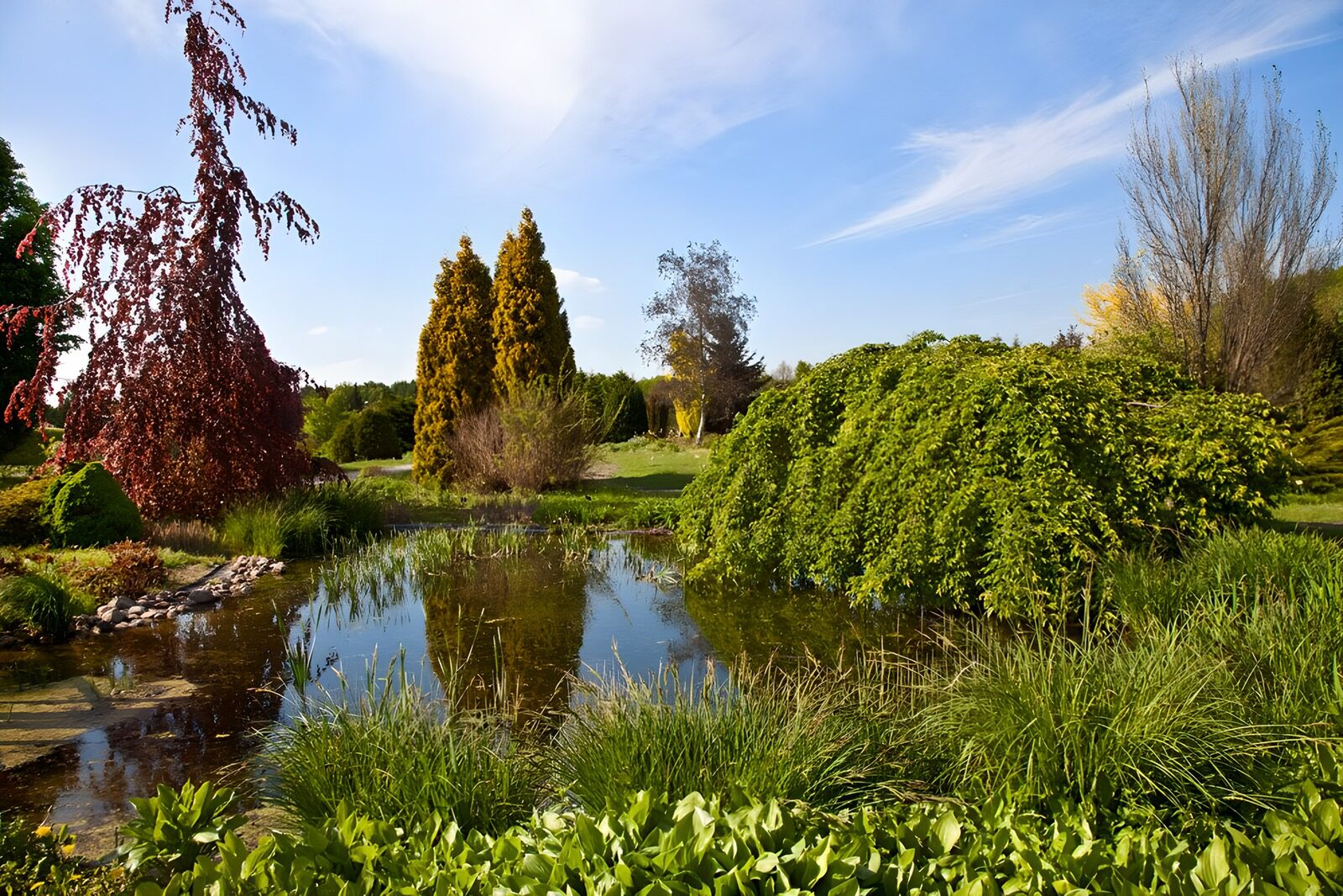 TP66333: Rustgevende Tuin met Waterpartij