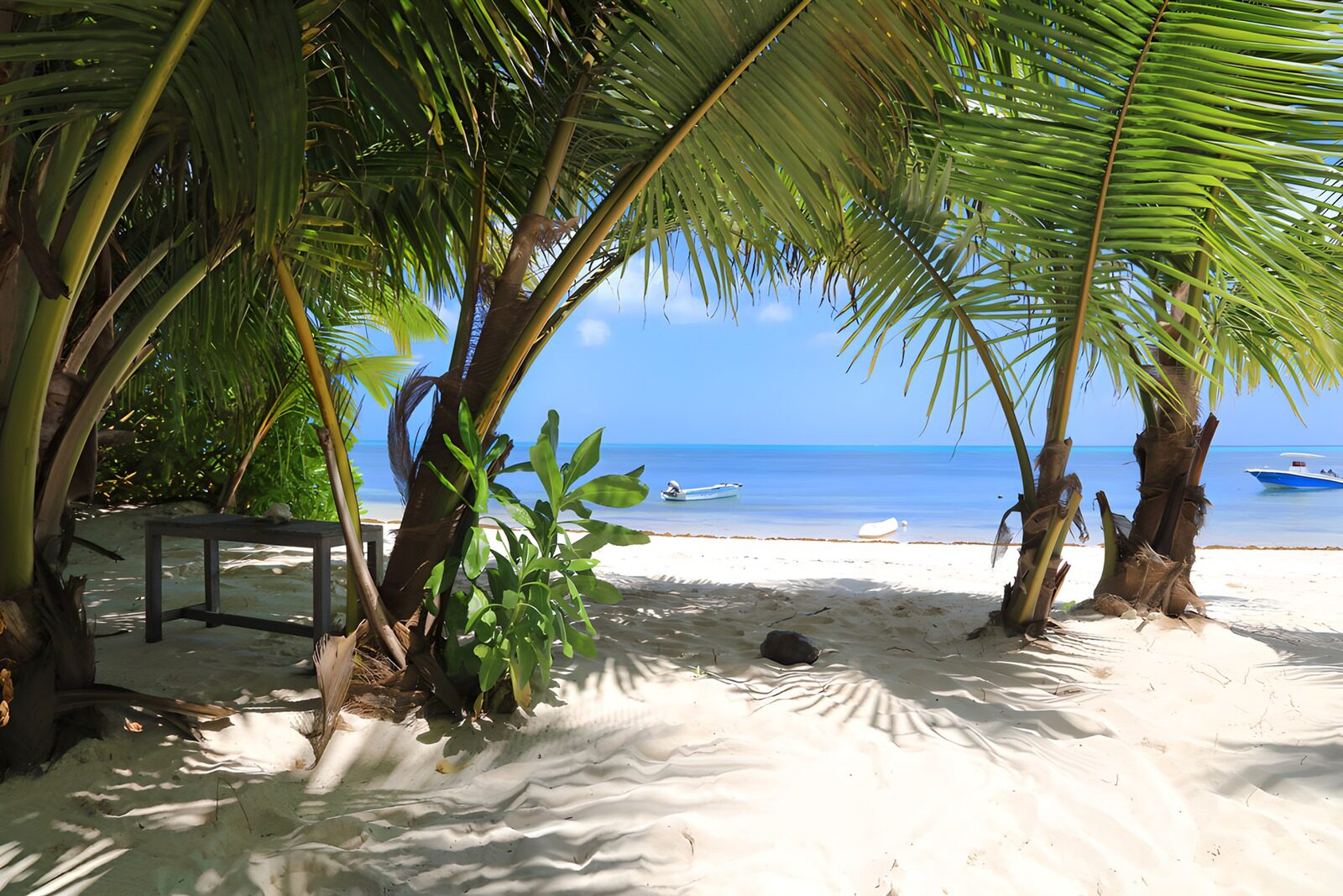 TP83326: Tropisch Paradijs aan het Strand