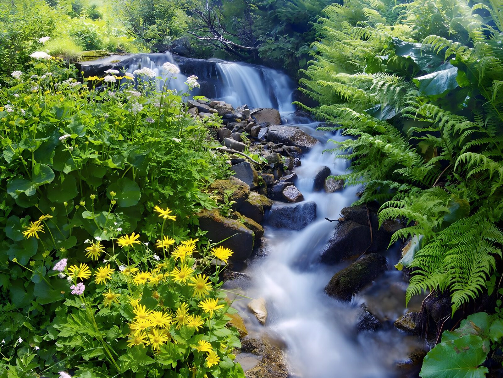 TP74034: Waterval met planten en rotsen