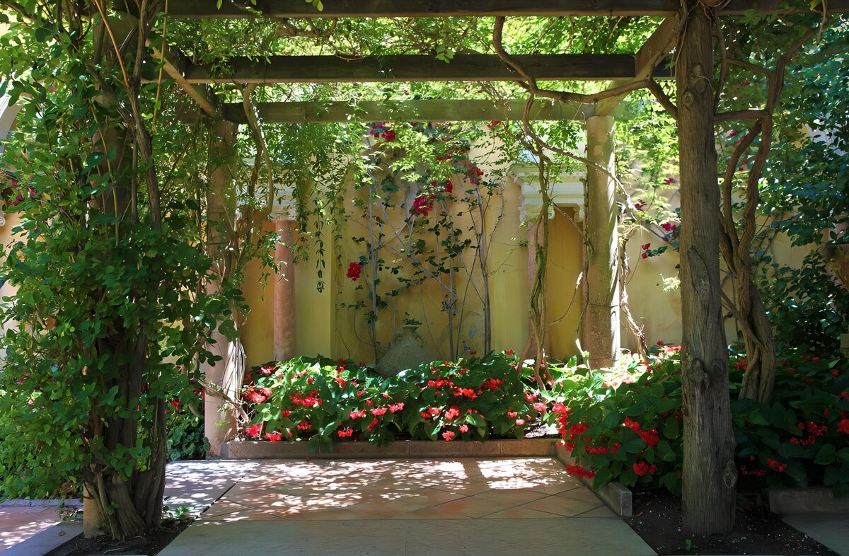 Groene oase onder pergola