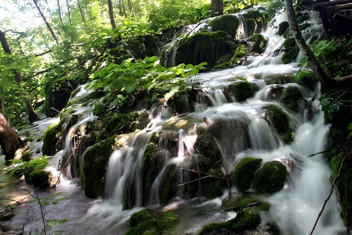 Kabbelende Waterval in het Groen