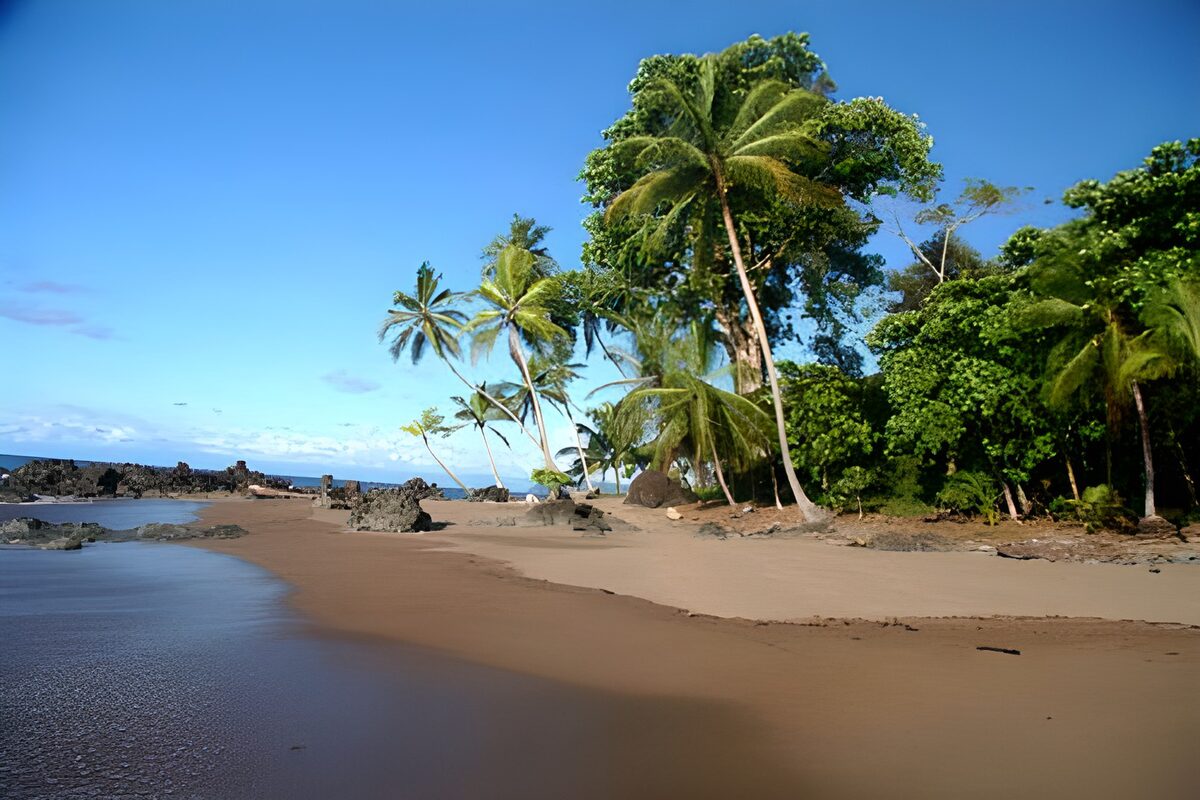 TP37848: Palmbomen strand op Costa Rica versie 1