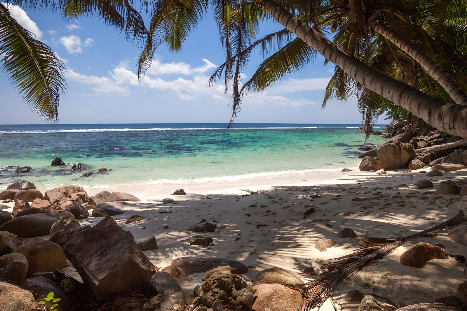 TP26827: Paradijselijk strand met palmbomen