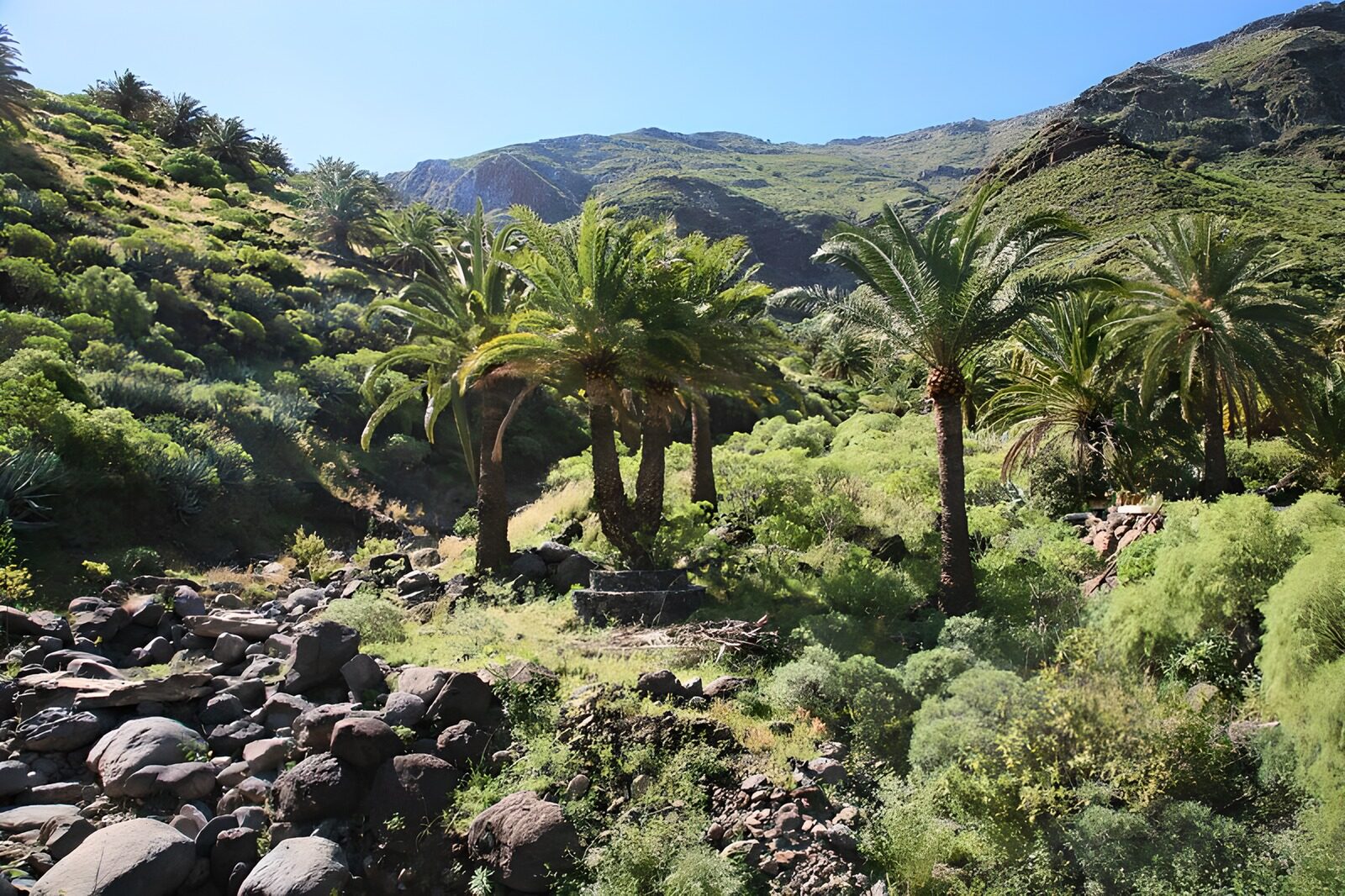 TP21821: La Gomera 33