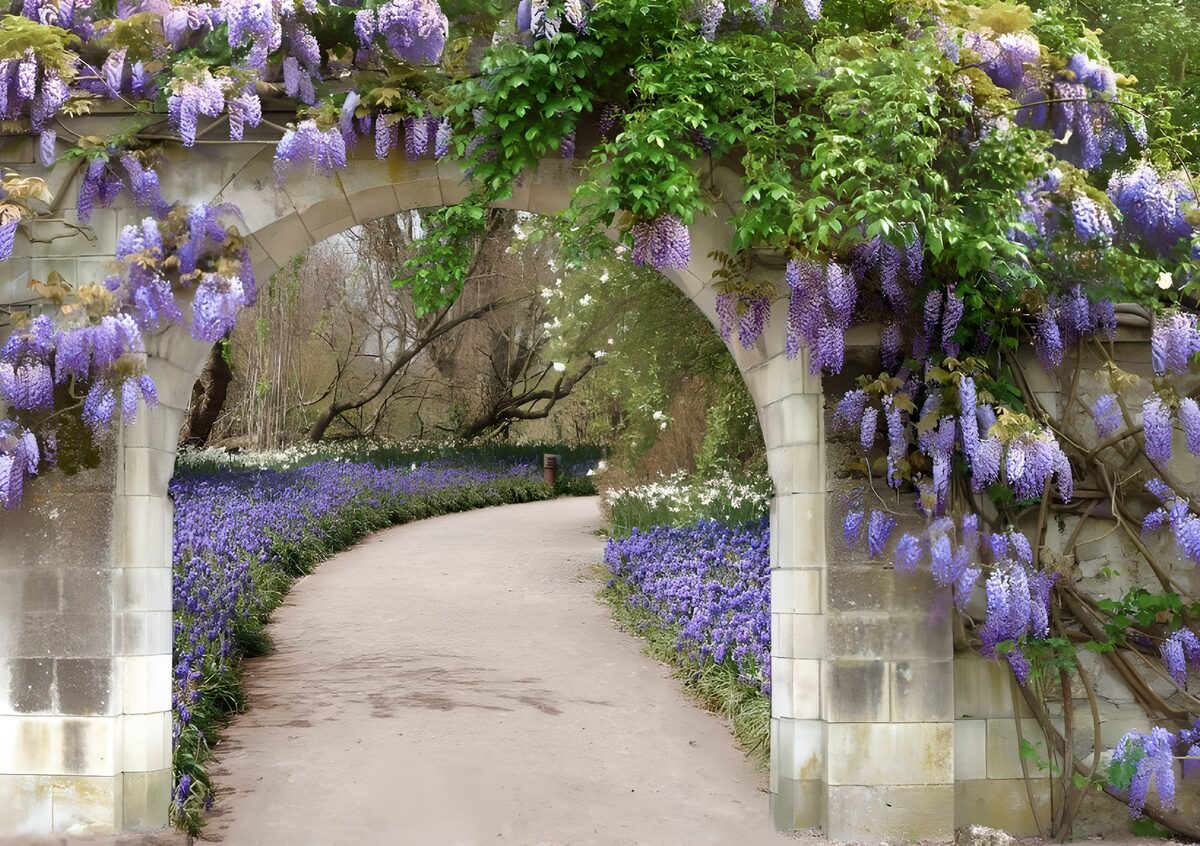 De Bloemenboog